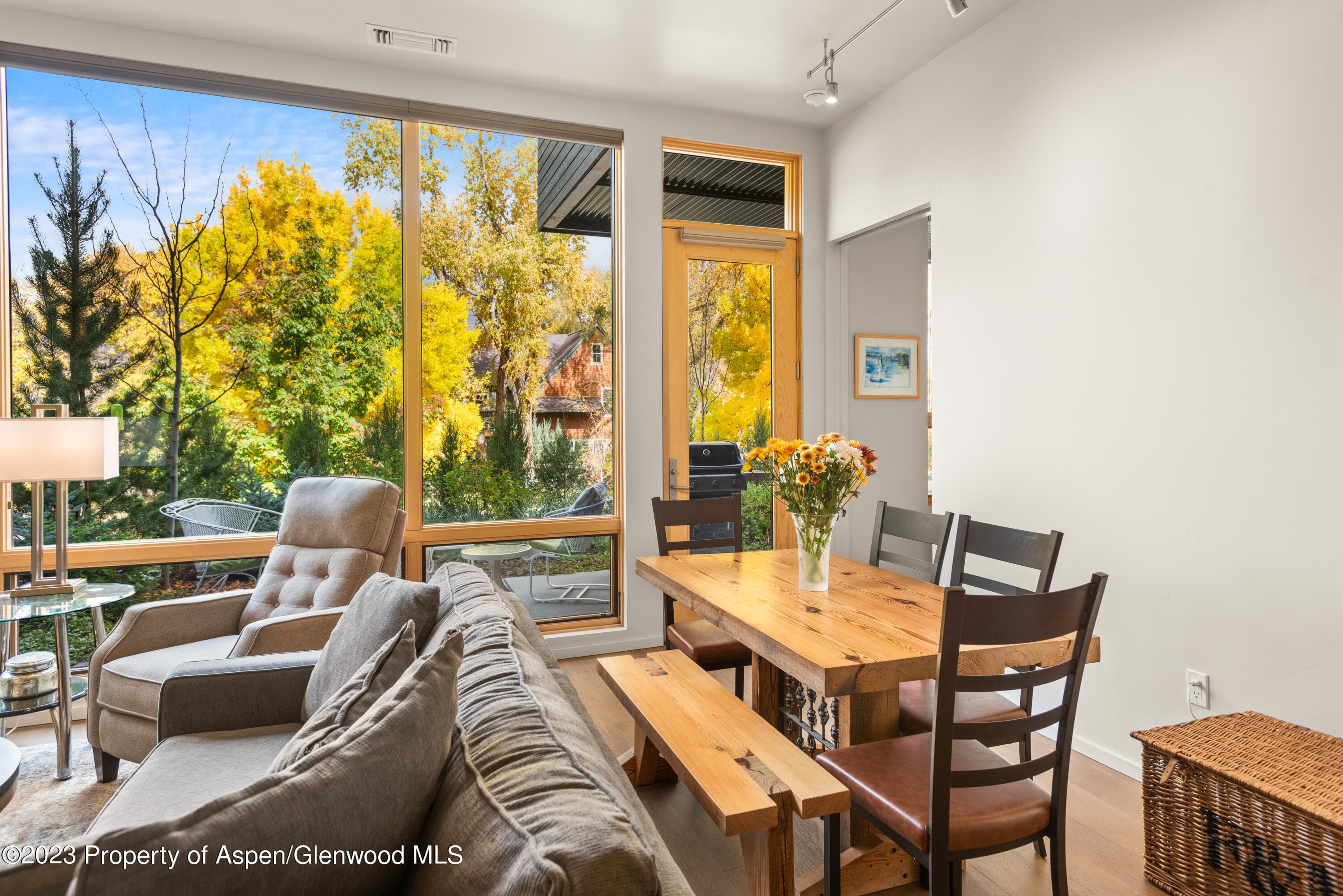 100 Evans Road 102, Basalt, CO 81621 - Photo 4