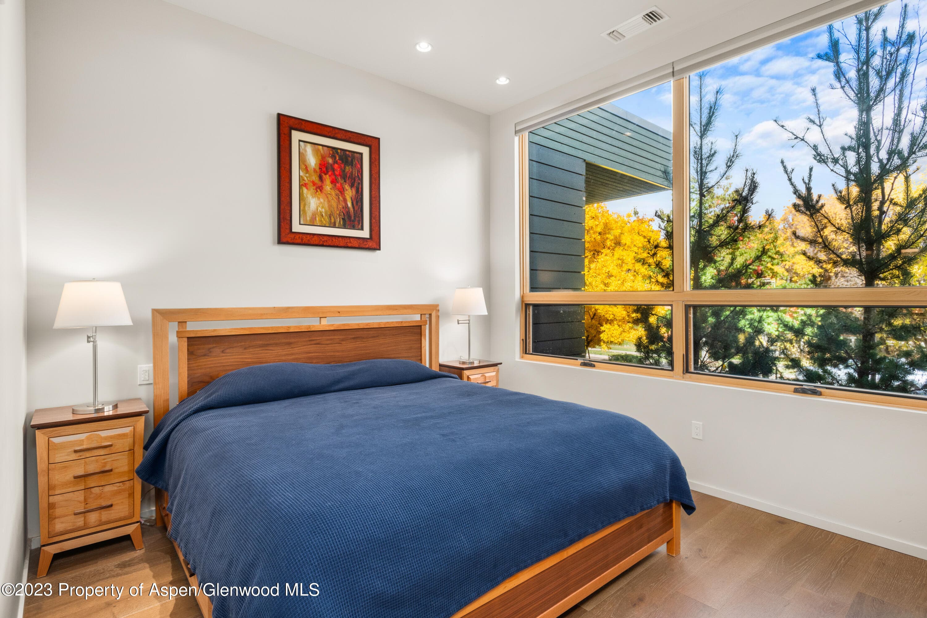 100 Evans Road 102, Basalt, CO 81621 - Photo 8