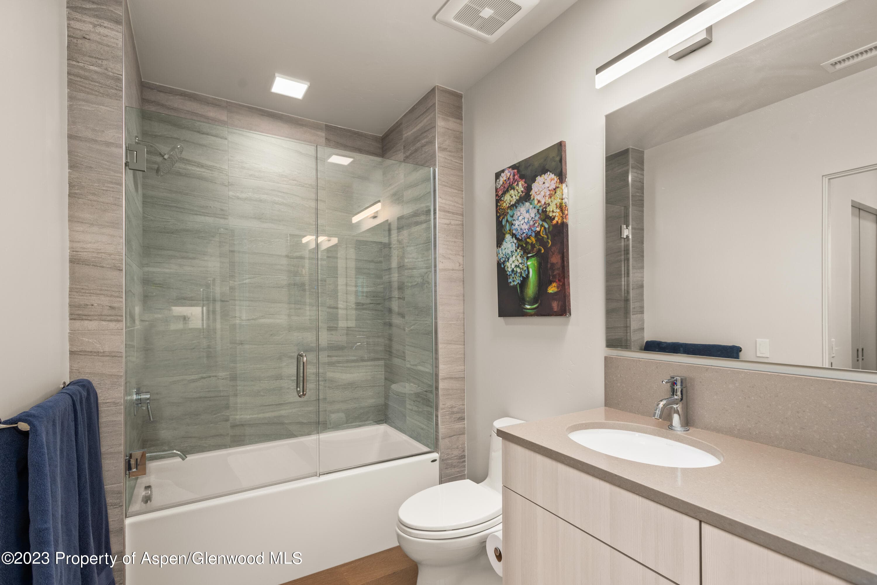 100 Evans Road 102, Basalt, CO 81621 - Photo 11