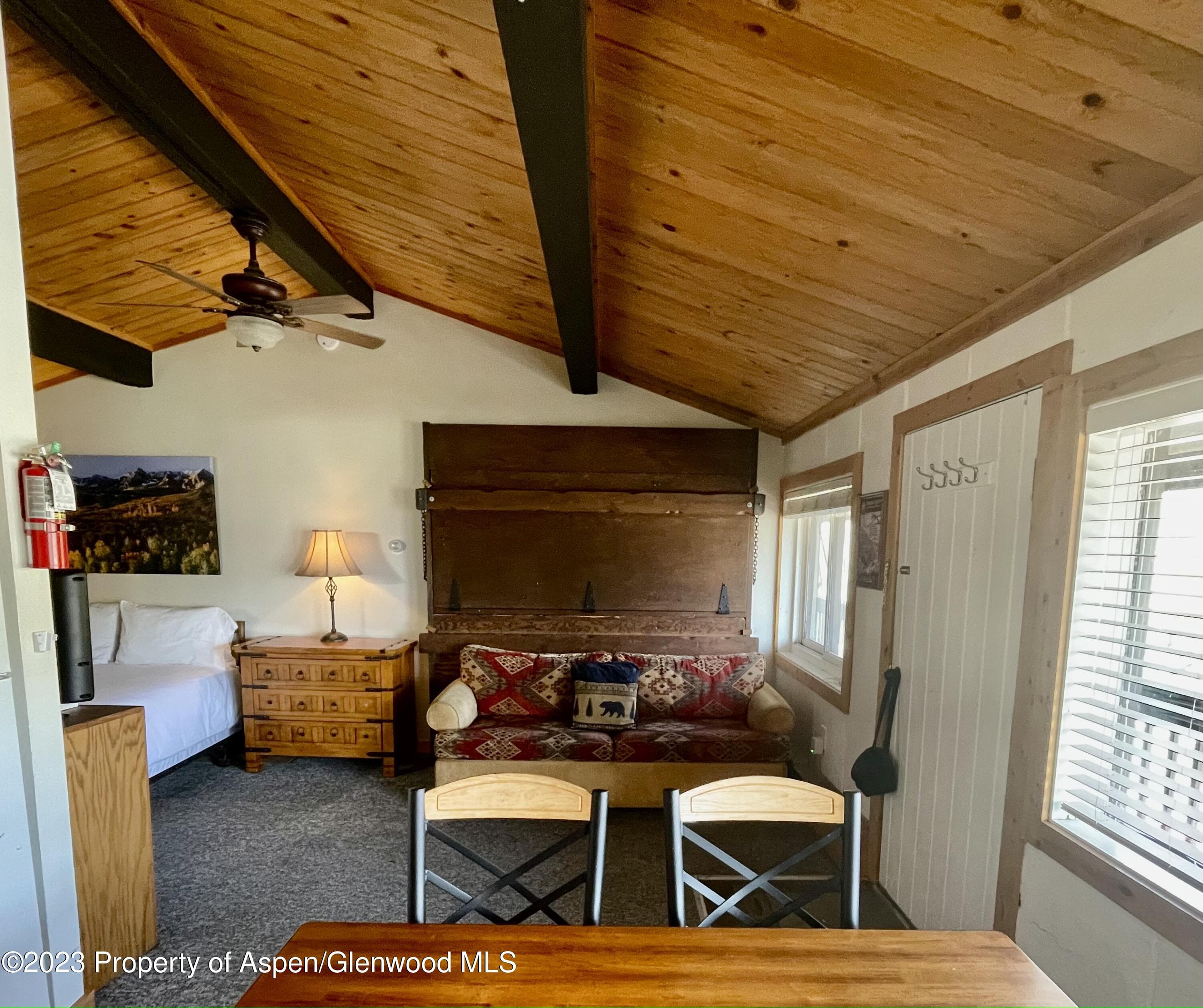 11101 COUNTY ROAD 117 E8, Glenwood Springs, CO 81601 - Photo 2