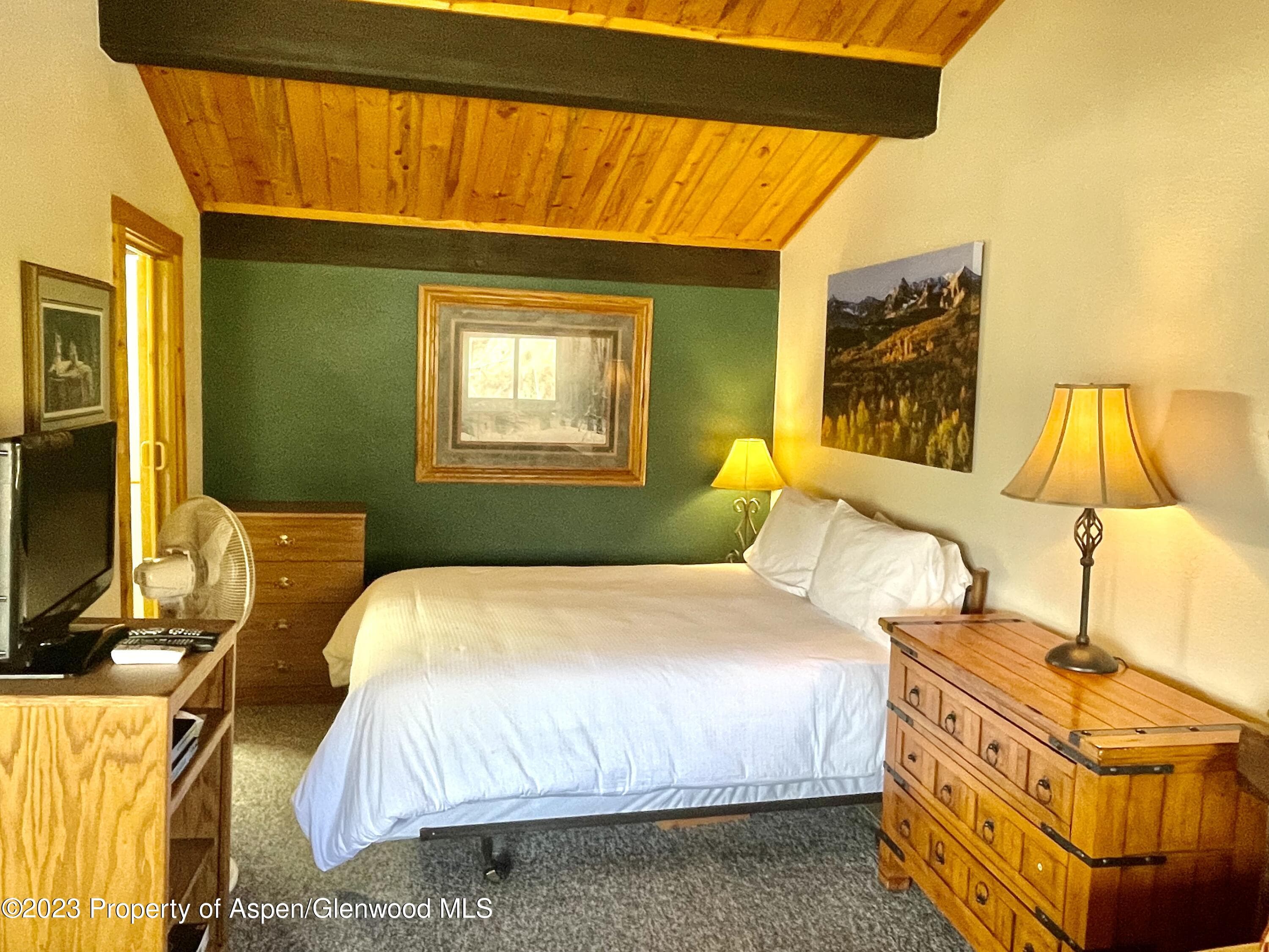 11101 COUNTY ROAD 117 E8, Glenwood Springs, CO 81601 - Photo 6