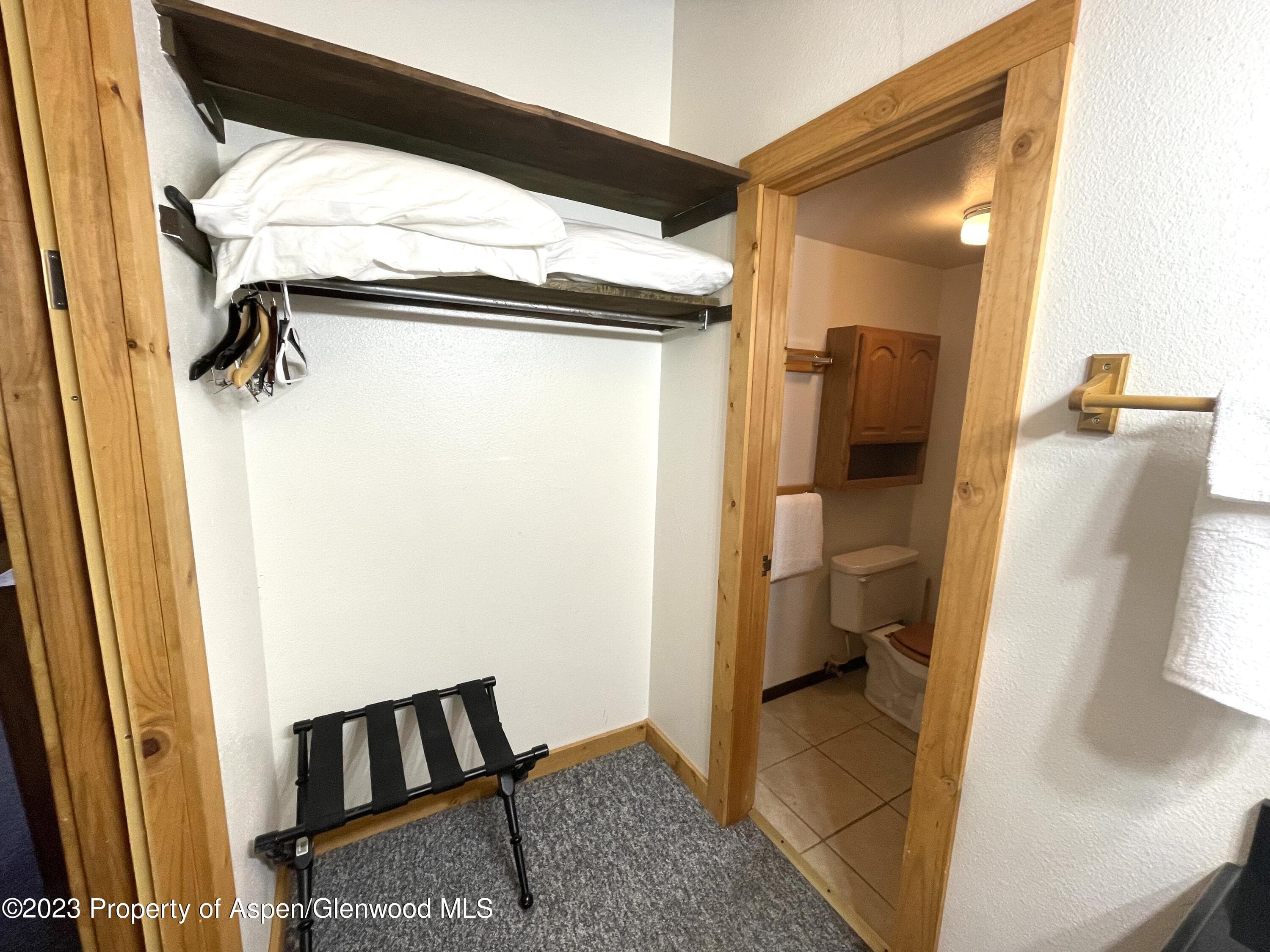 11101 COUNTY ROAD 117 E8, Glenwood Springs, CO 81601 - Photo 9