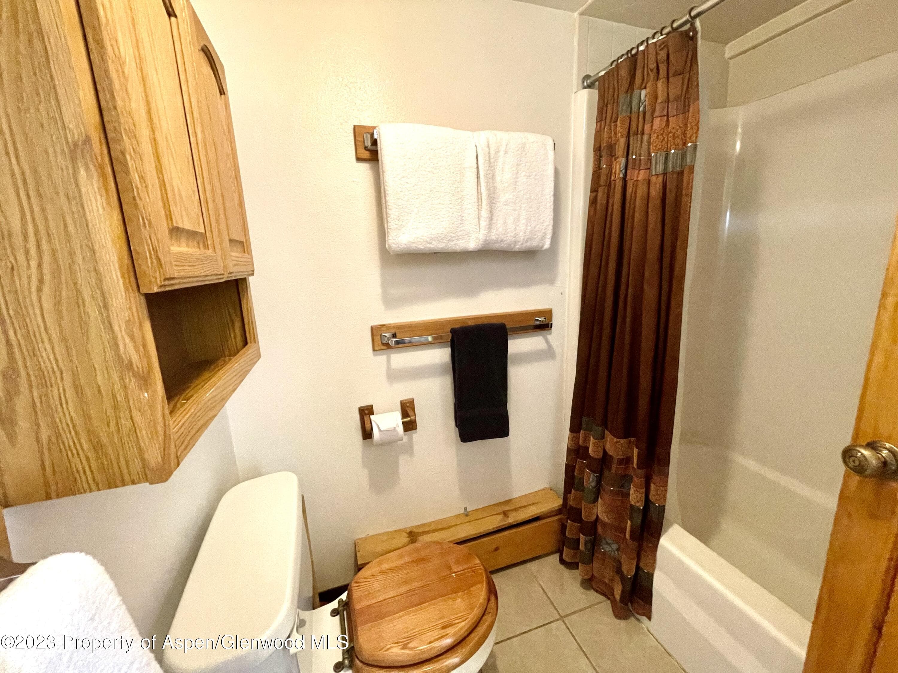 11101 COUNTY ROAD 117 E8, Glenwood Springs, CO 81601 - Photo 10