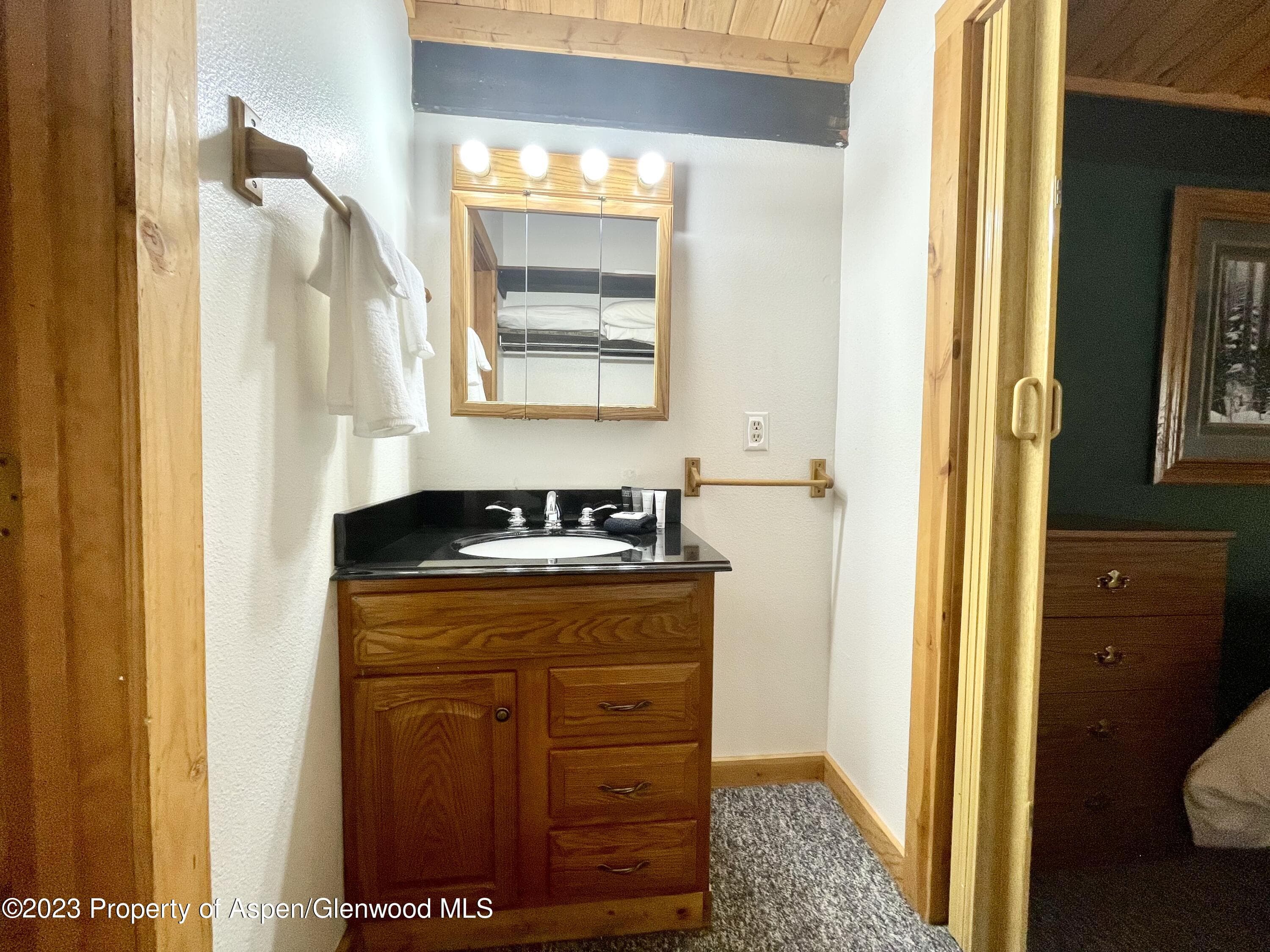 11101 COUNTY ROAD 117 E8, Glenwood Springs, CO 81601 - Photo 8