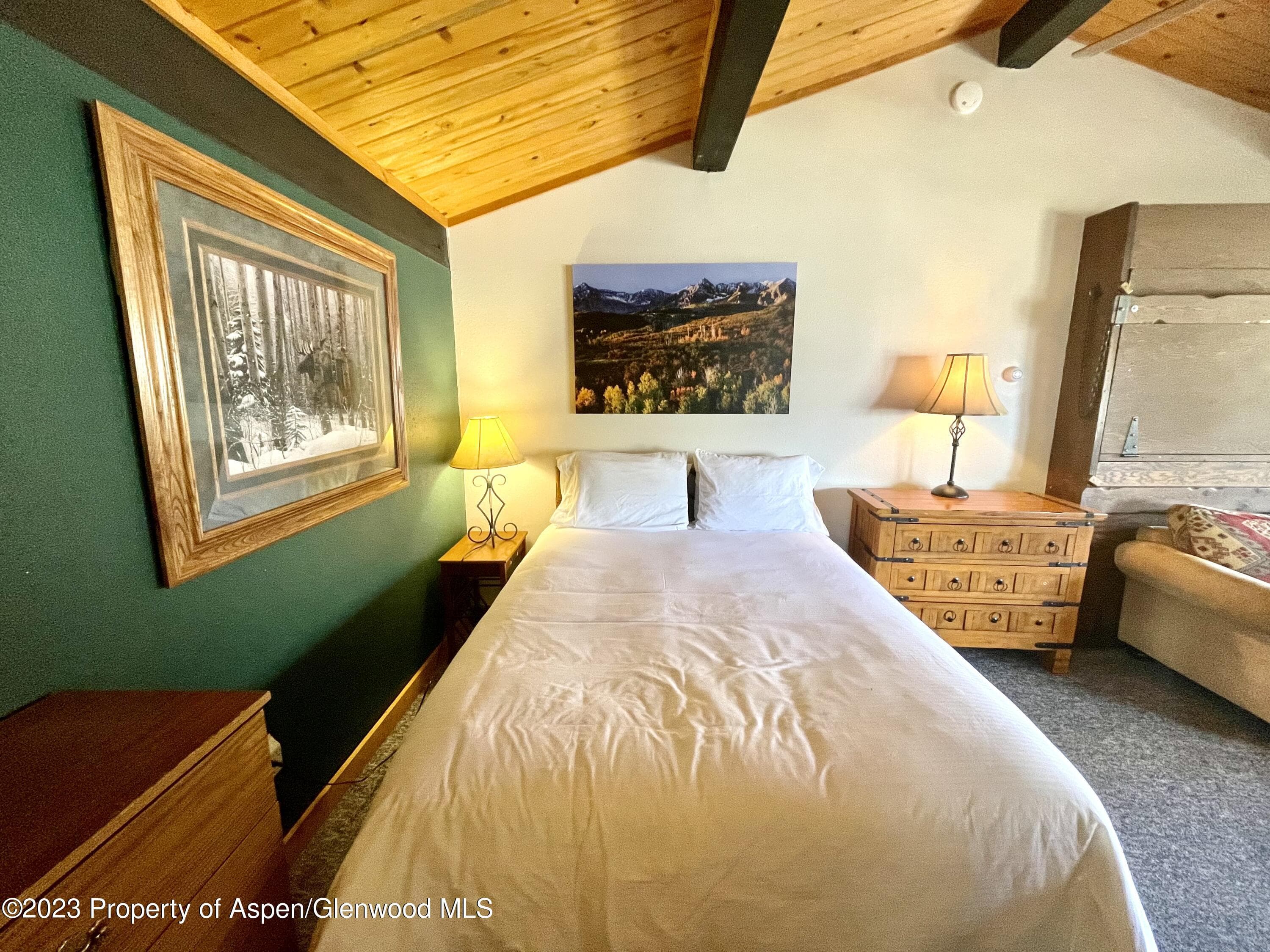 11101 COUNTY ROAD 117 E8, Glenwood Springs, CO 81601 - Photo 11