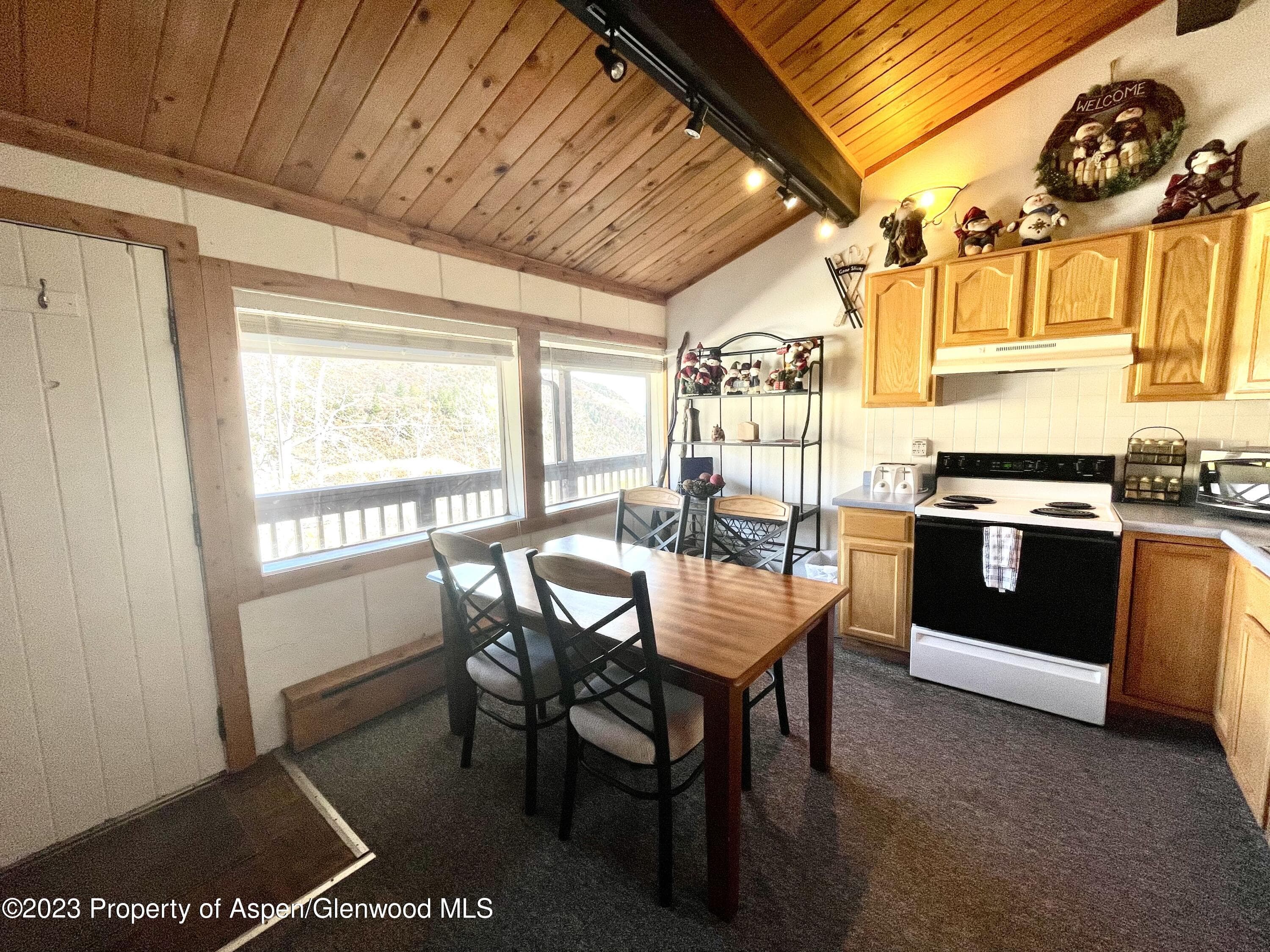 11101 COUNTY ROAD 117 E8, Glenwood Springs, CO 81601 - Photo 5