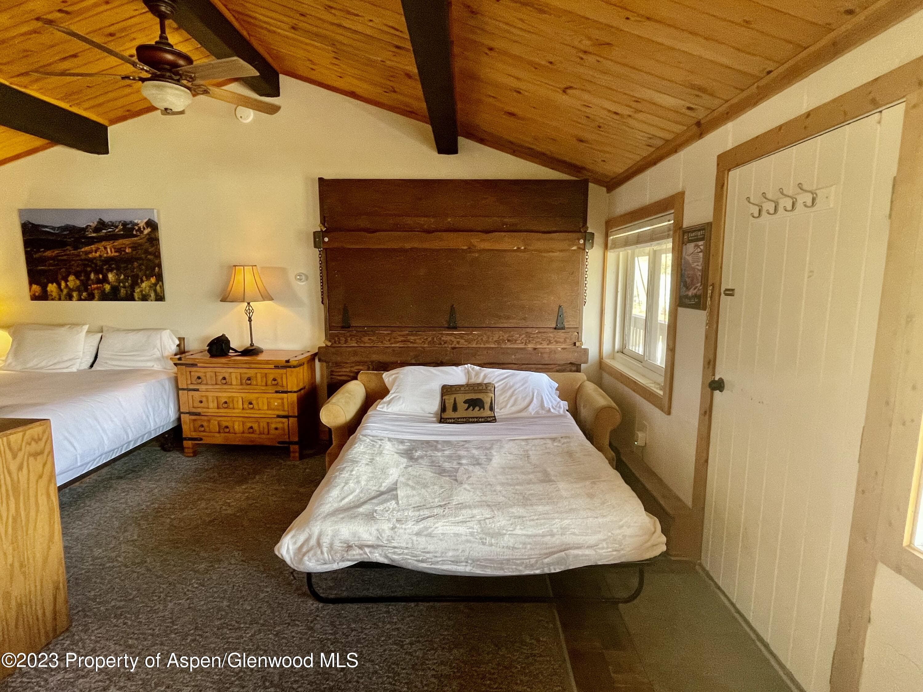 11101 COUNTY ROAD 117 E8, Glenwood Springs, CO 81601 - Photo 3