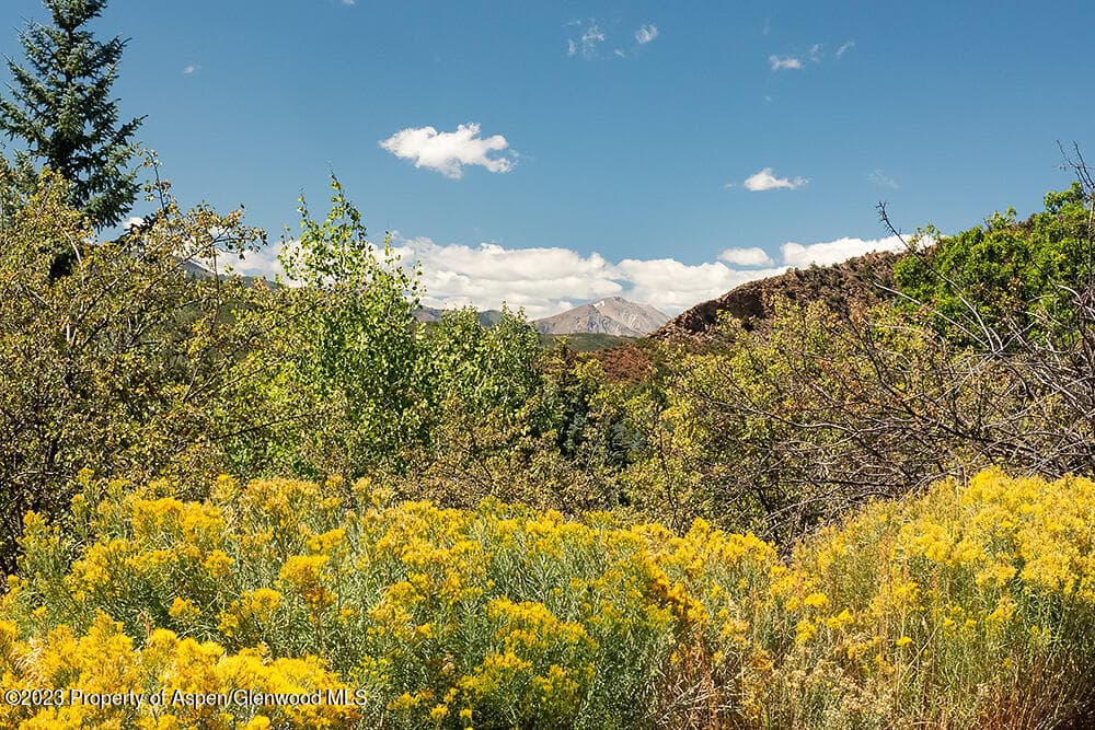 848 Willoughby Way, Aspen, CO 81611 - Photo 2