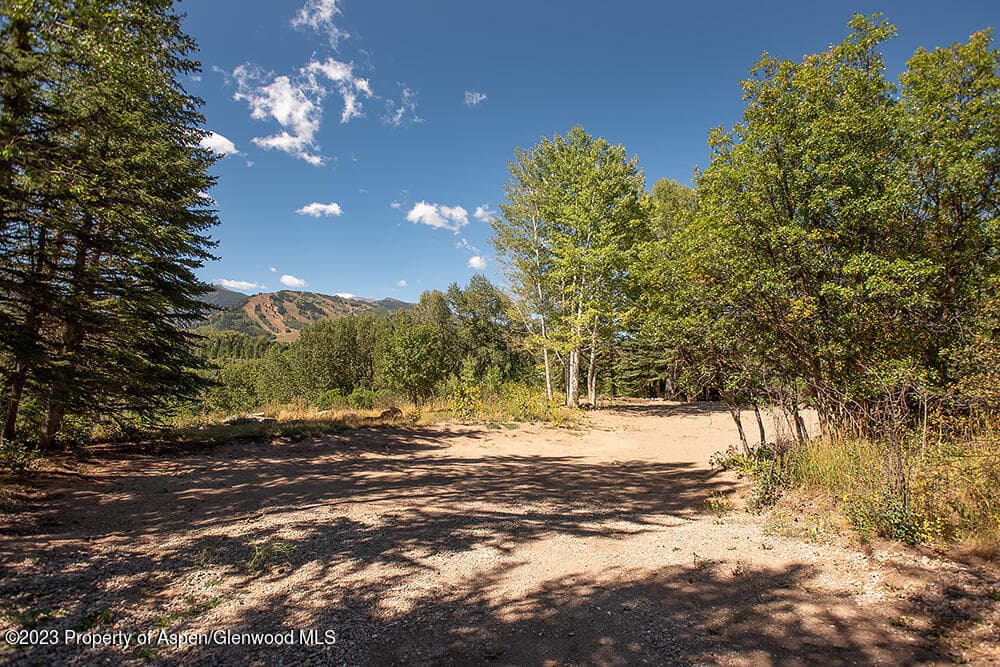 848 Willoughby Way, Aspen, CO 81611 - Photo 9