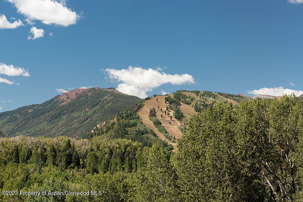 848 Willoughby Way, Aspen, CO 81611 - Photo 28