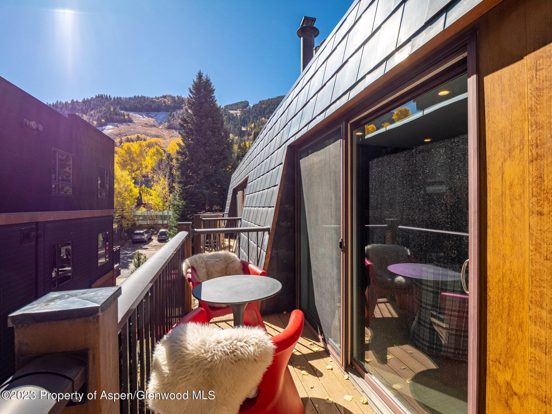 205 E Durant Avenue 3J, Aspen, CO 81611 - Photo 12