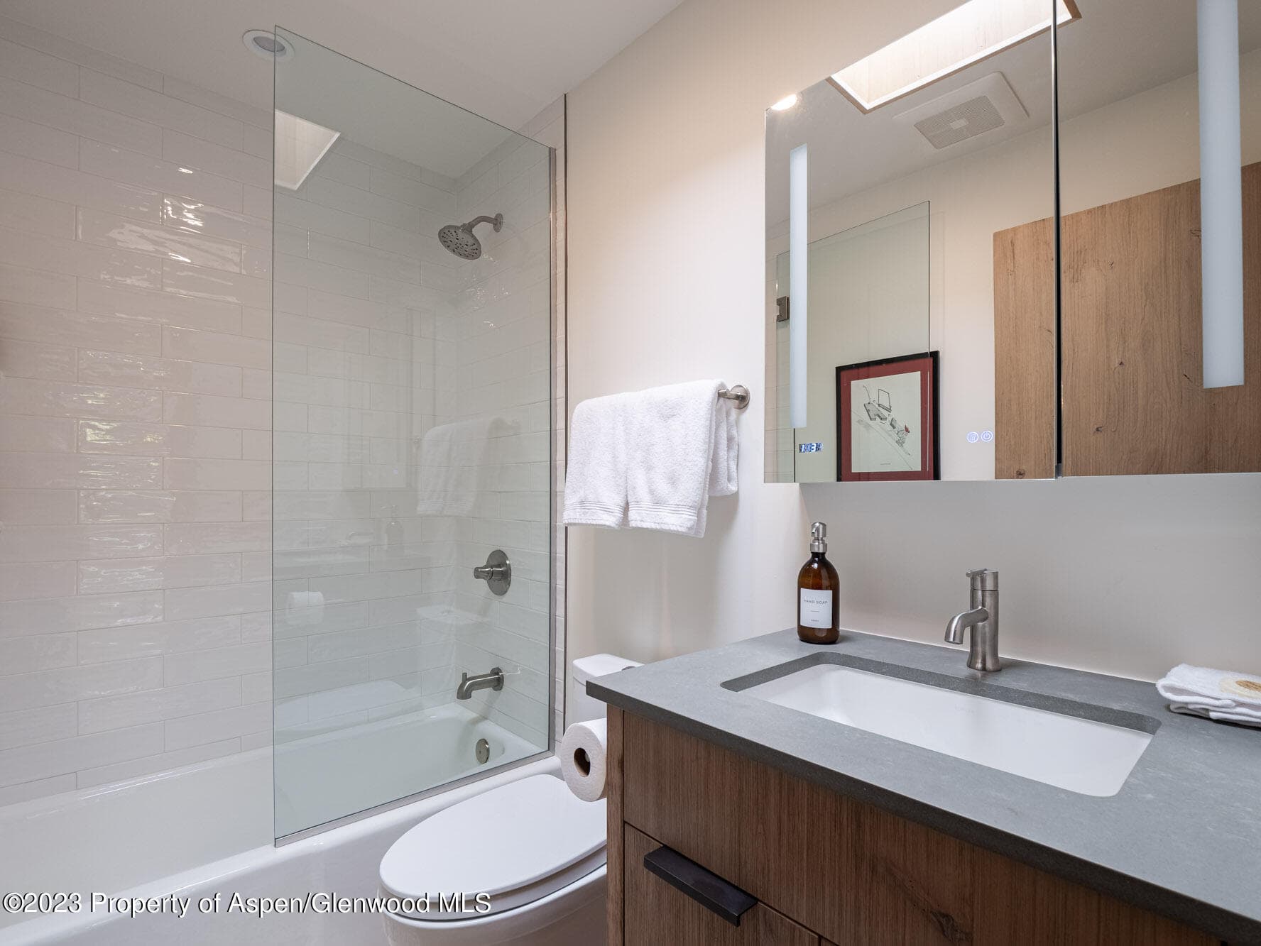 205 E Durant Avenue 3J, Aspen, CO 81611 - Photo 11