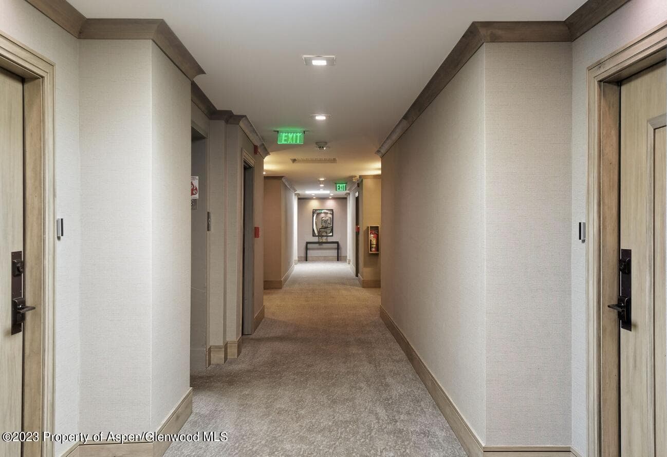 205 E Durant Avenue 3J, Aspen, CO 81611 - Photo 14