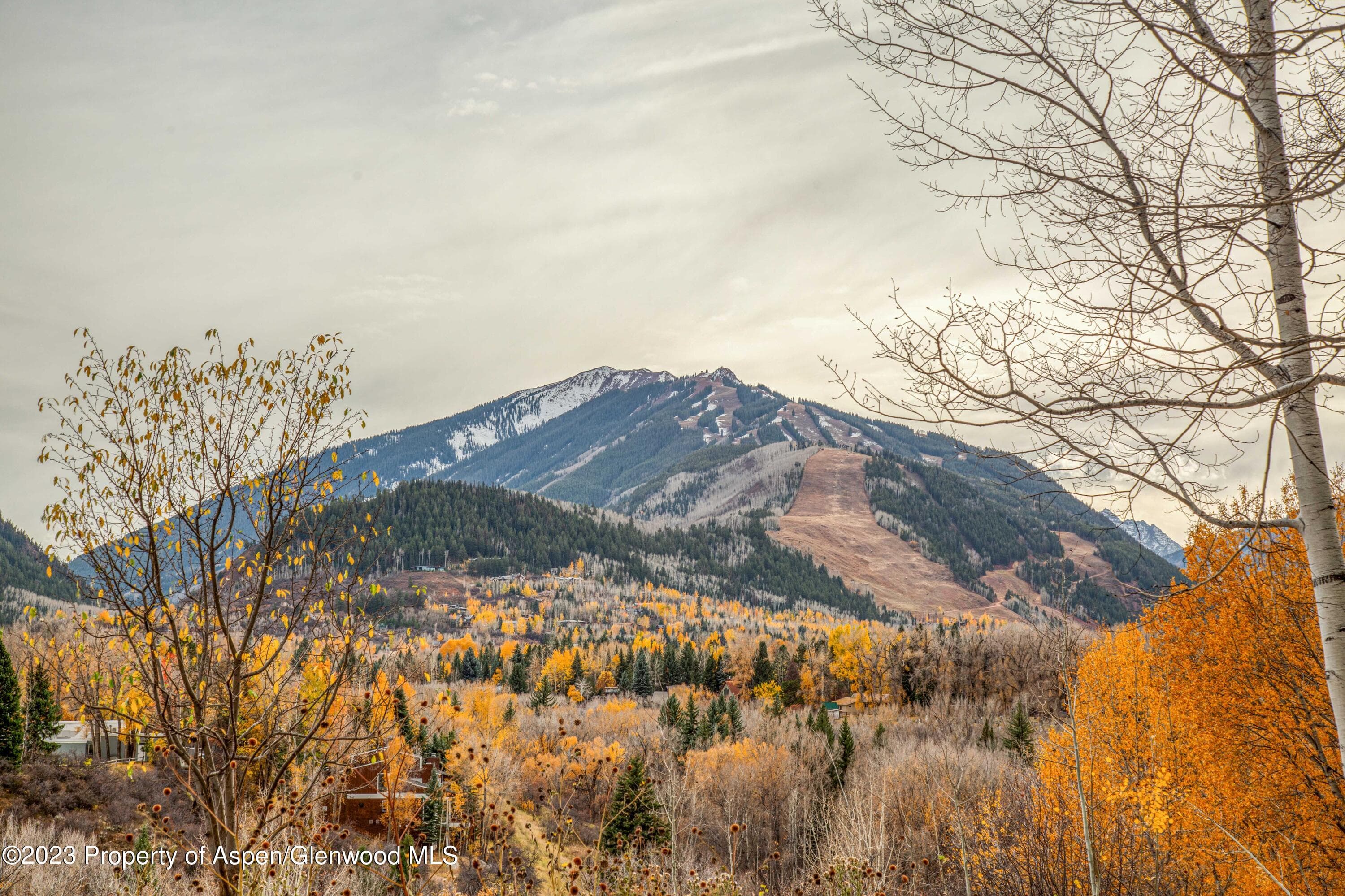 848 Willoughby Way, Aspen, CO 81611 - Photo 41