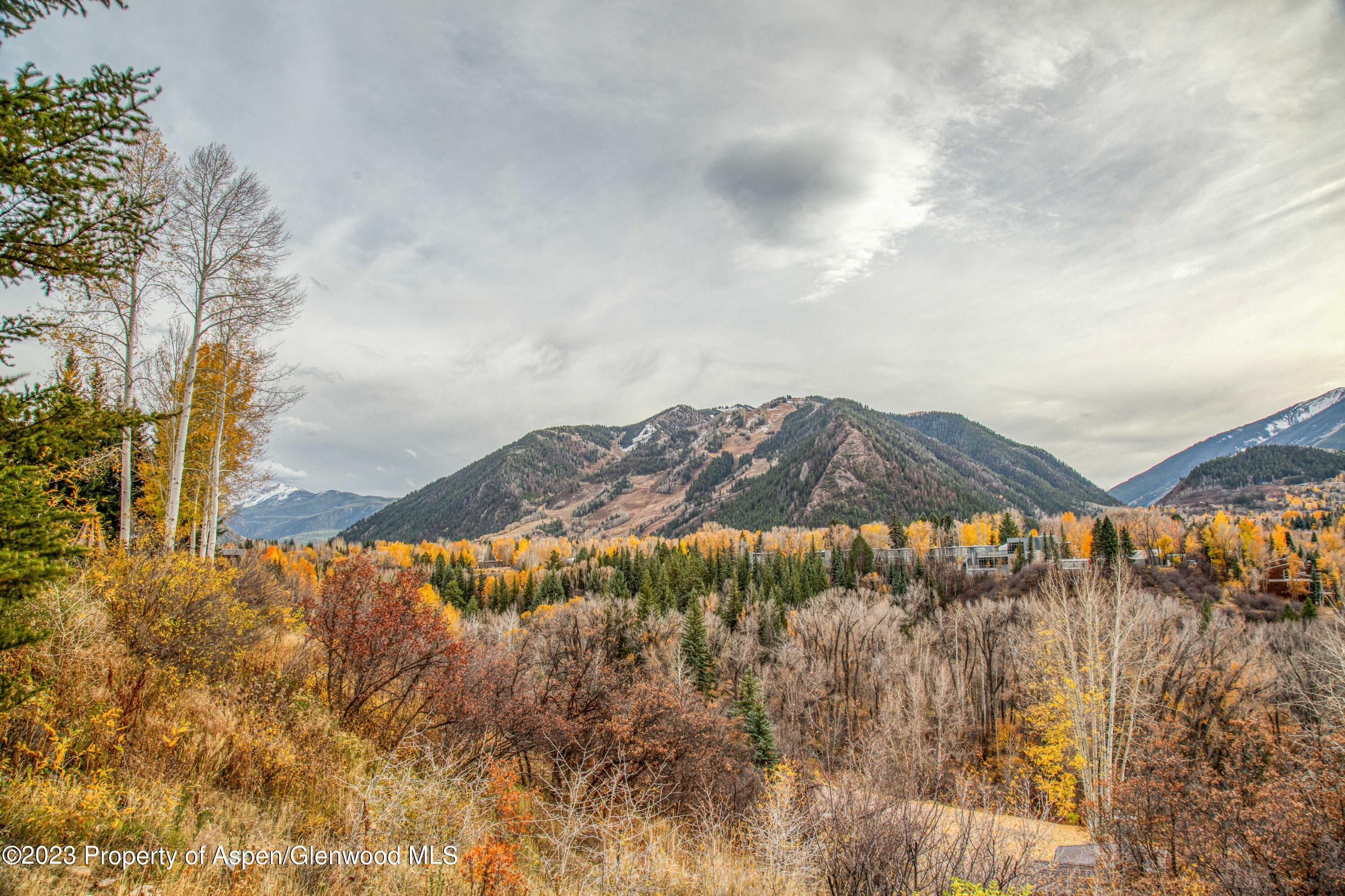 848 Willoughby Way, Aspen, CO 81611 - Photo 44