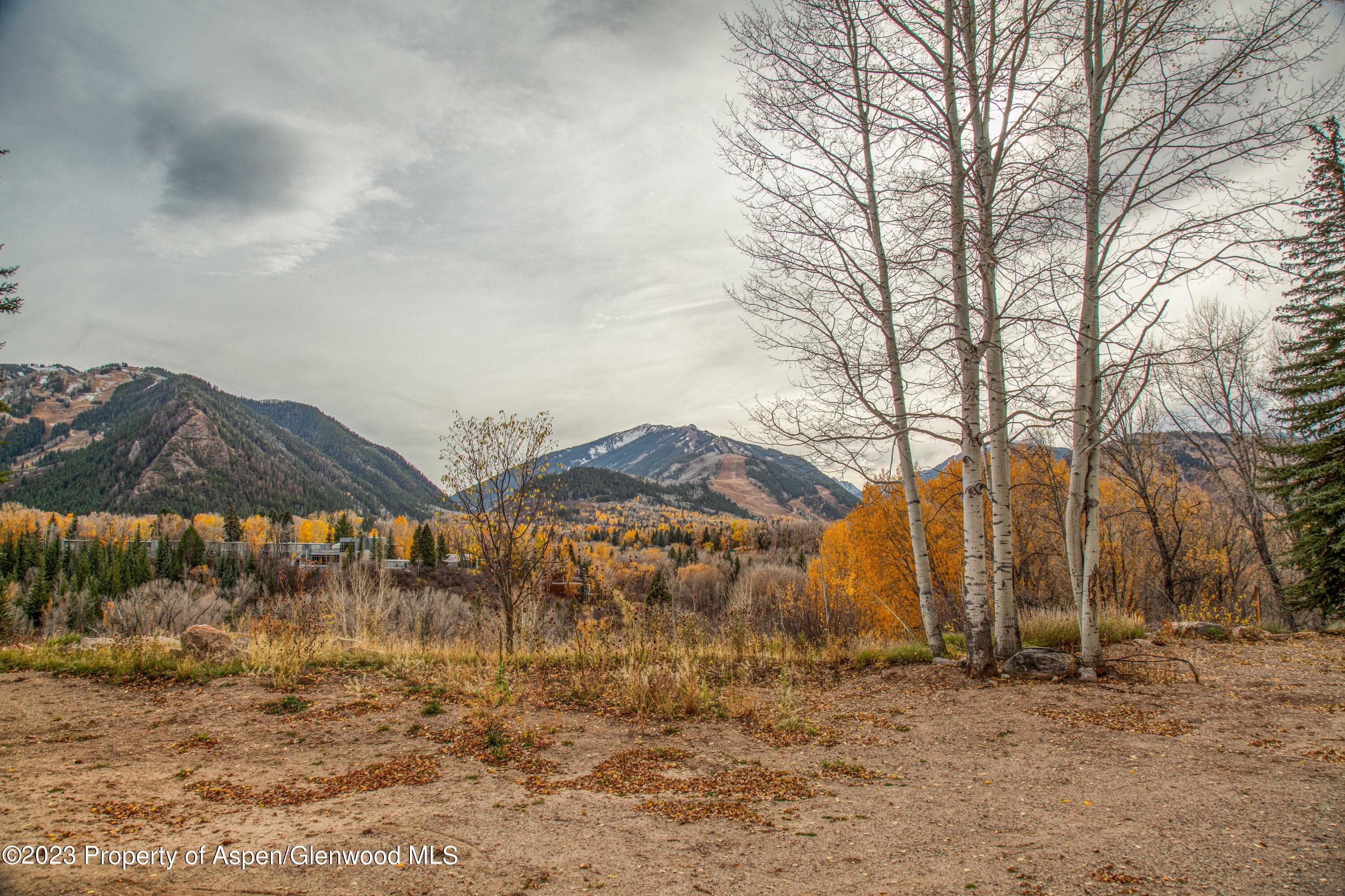 848 Willoughby Way, Aspen, CO 81611 - Photo 46
