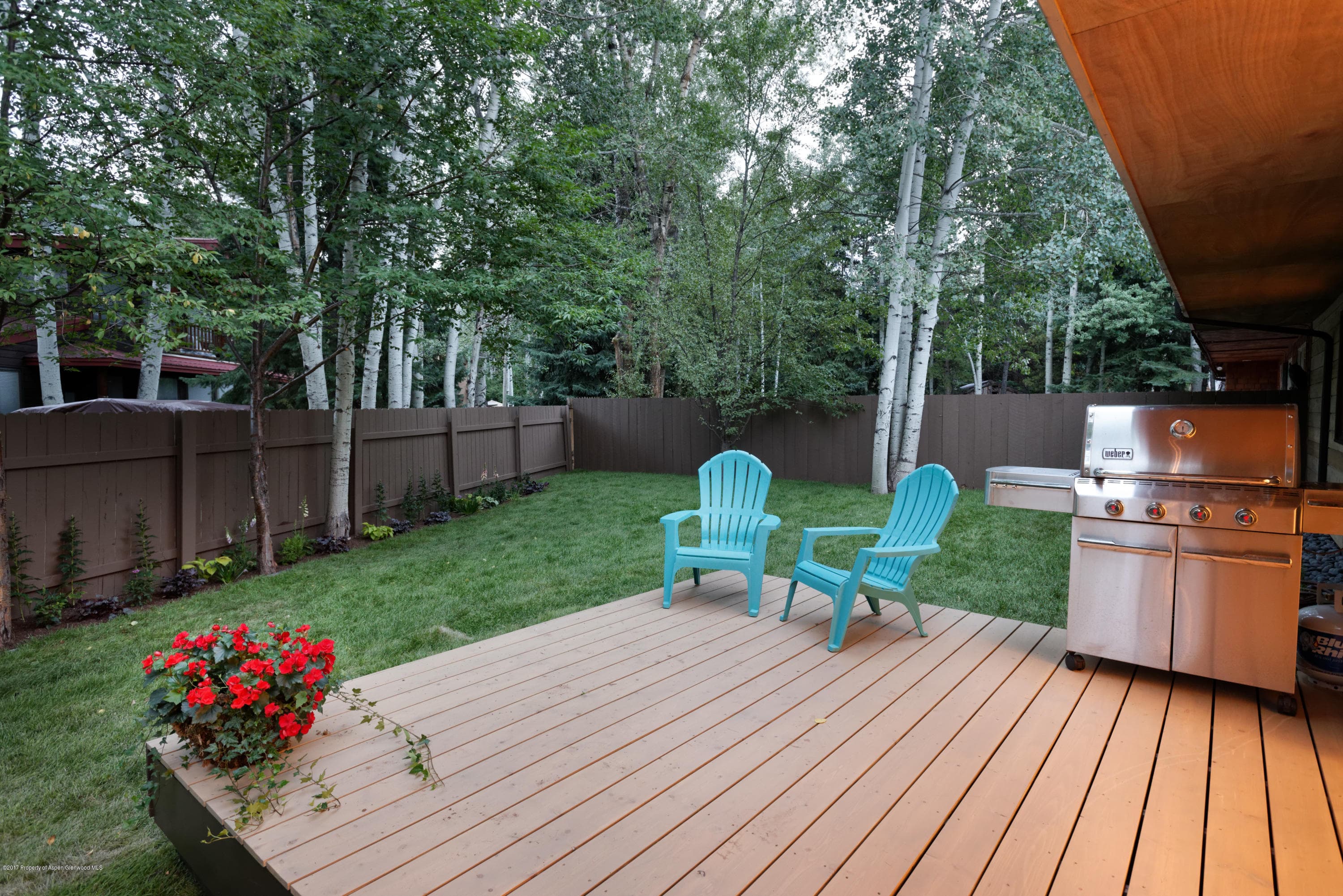 982 Cemetery Lane, Aspen, CO 81611 - Photo 42