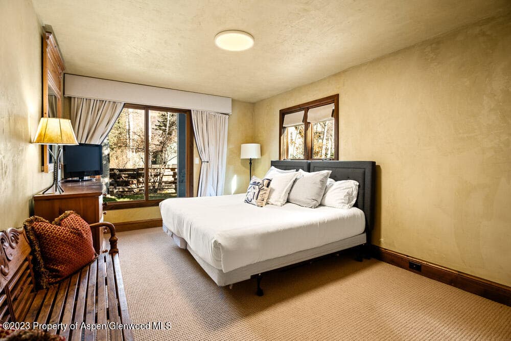 114 E Bleeker Street 102, Aspen, CO 81611 - Photo 13