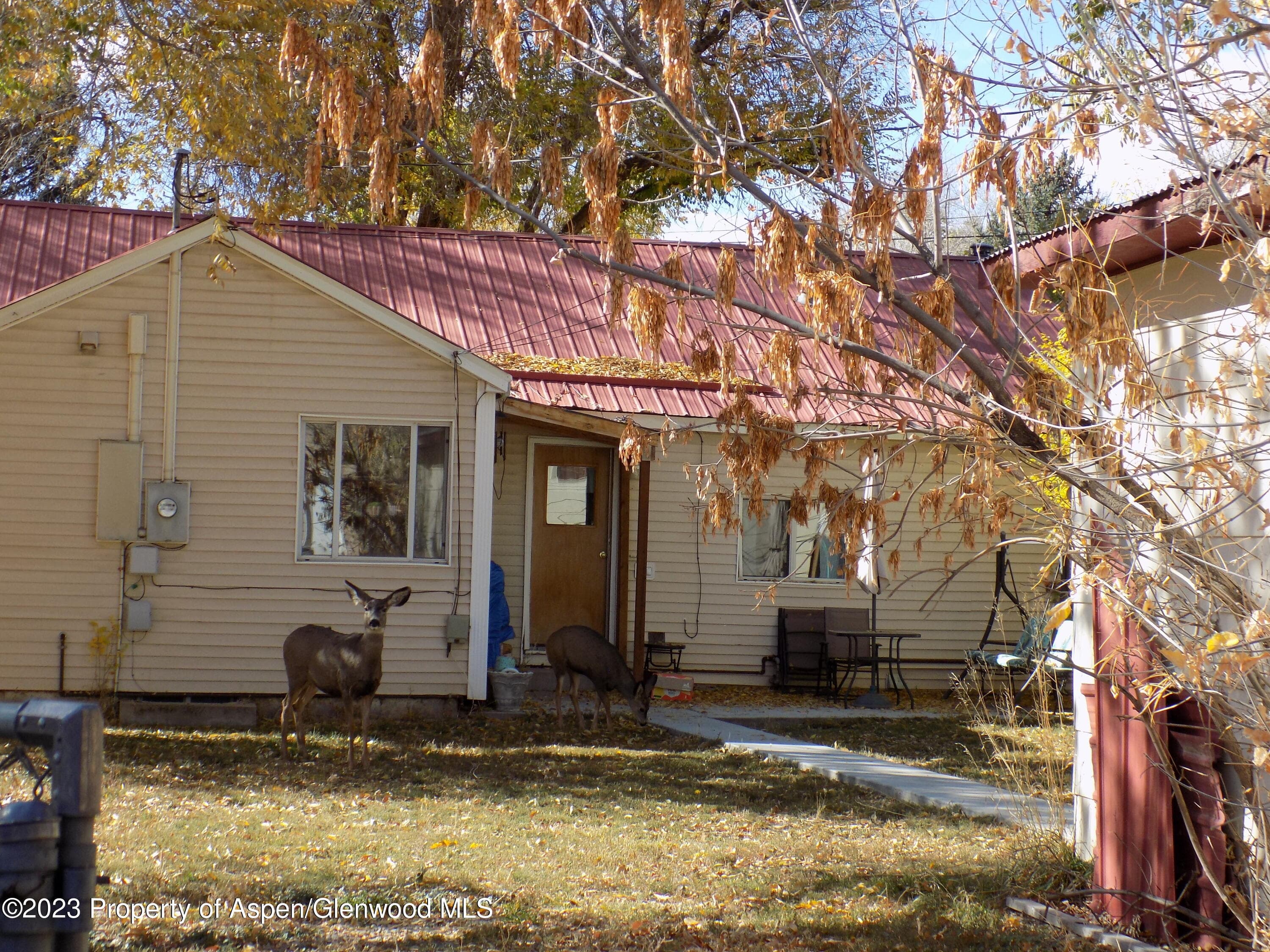 741 School Street, Craig, CO 81625 - Photo 10