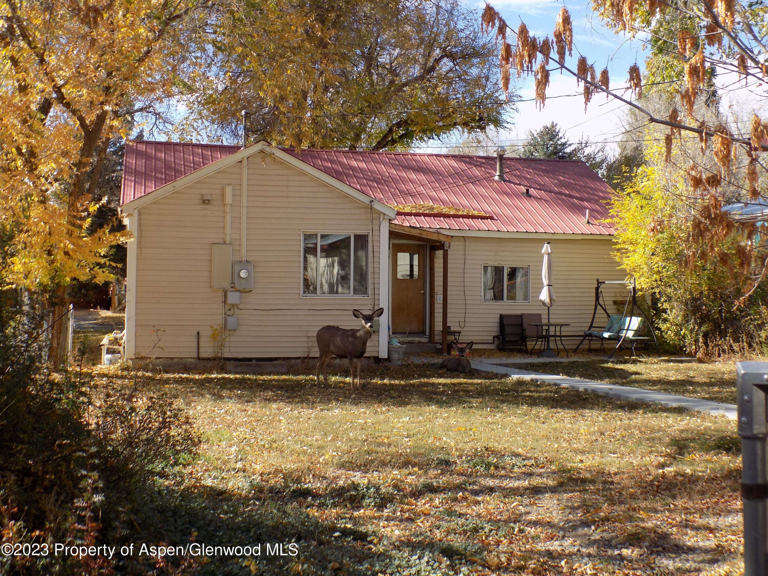 741 School Street, Craig, CO 81625 - Photo 12