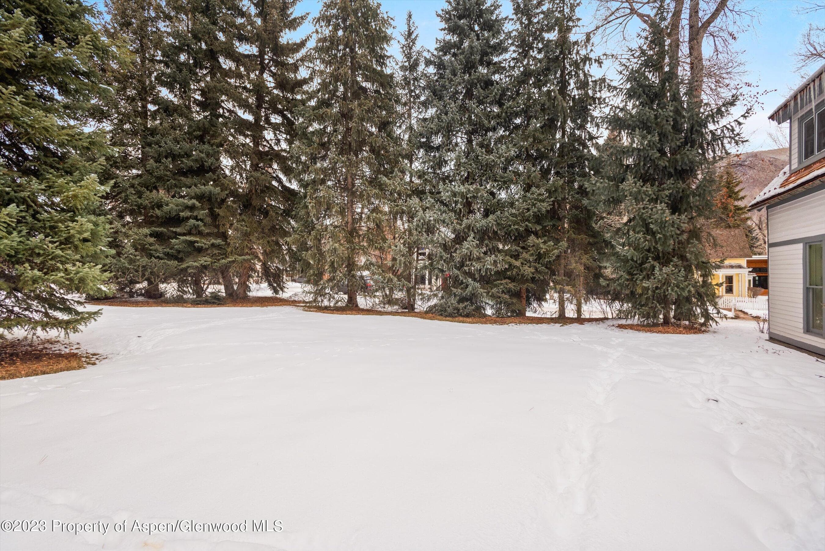 327 W Hallam Street, Aspen, CO 81611 - Photo 5