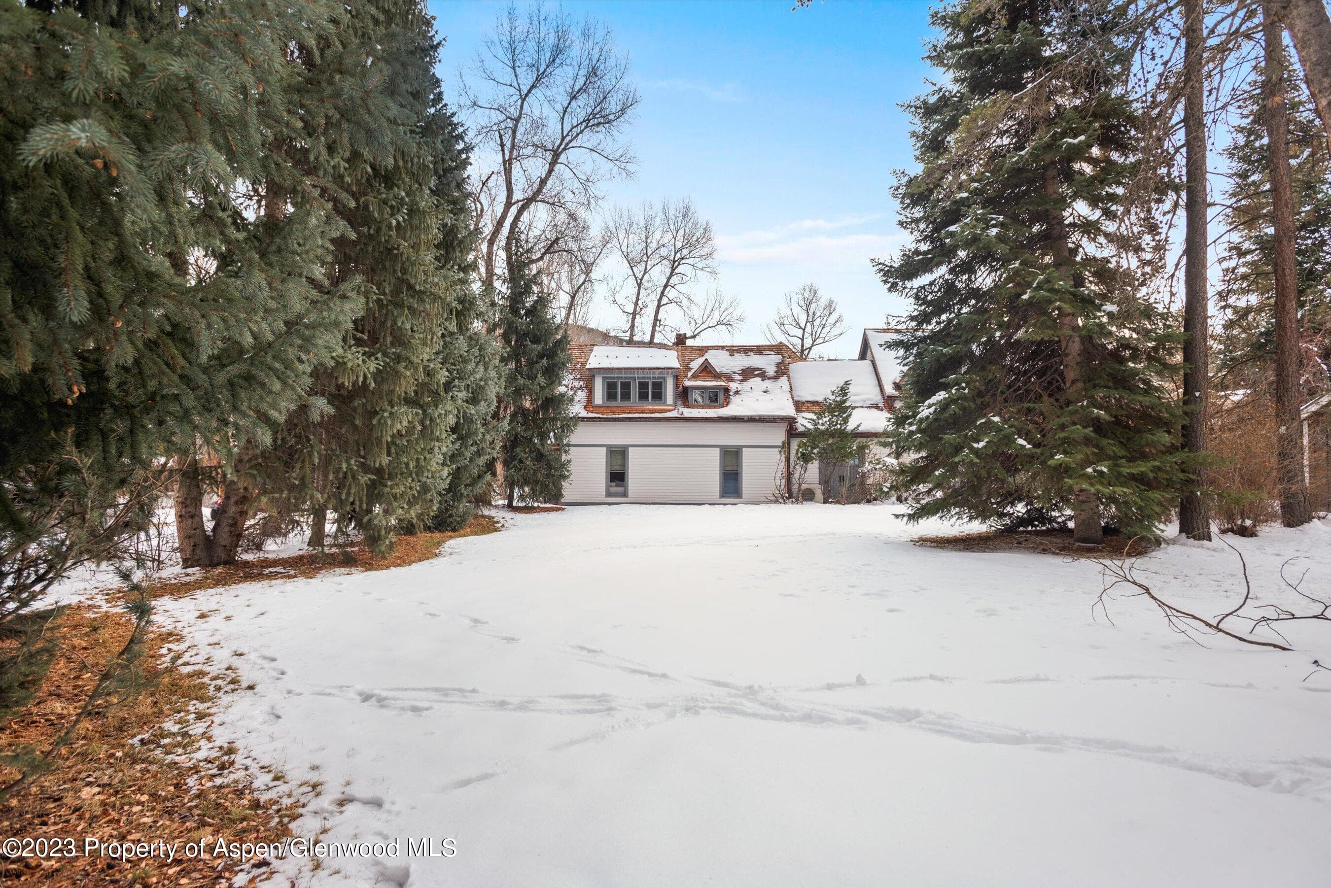 327 W Hallam Street, Aspen, CO 81611 - Photo 38