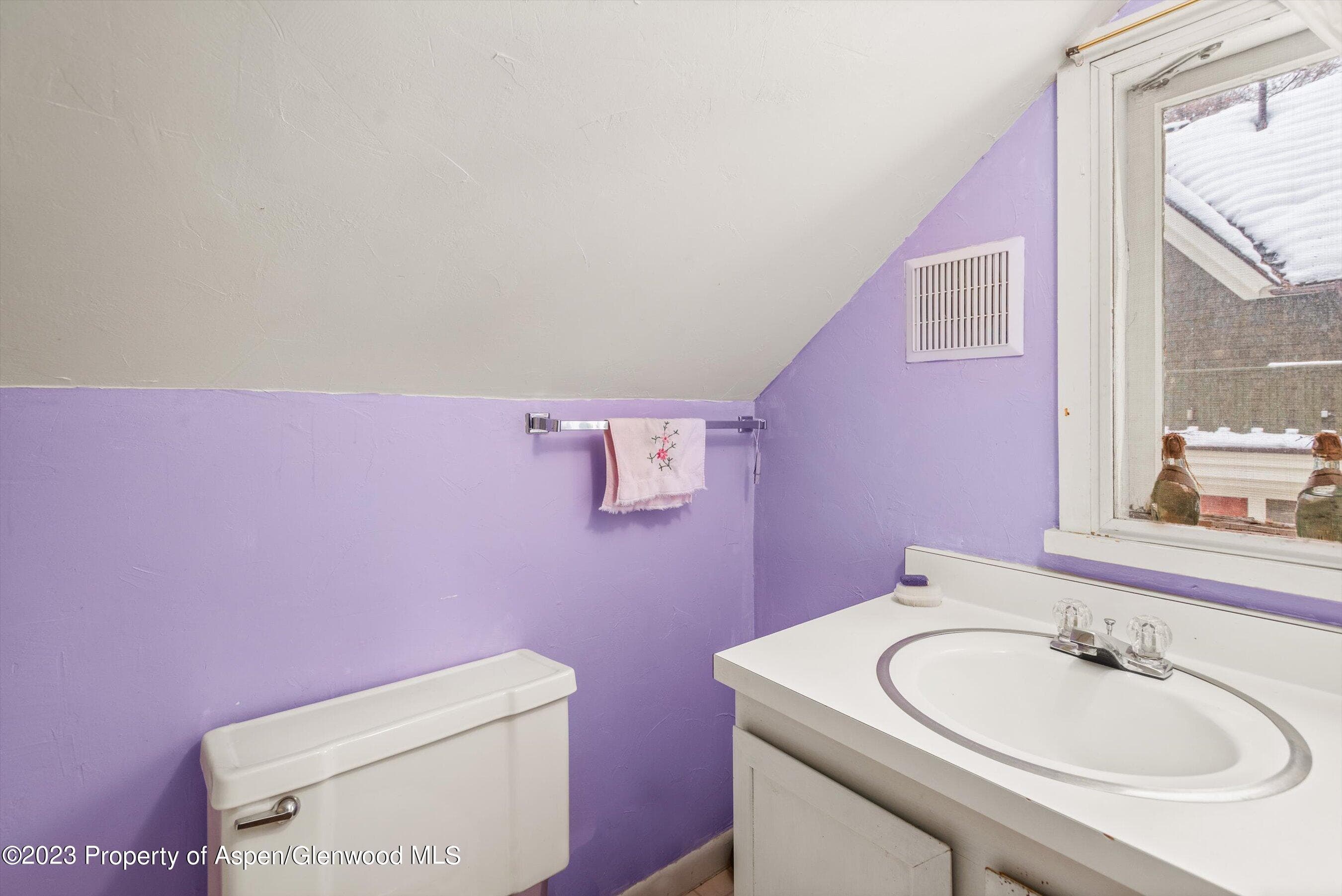 327 W Hallam Street, Aspen, CO 81611 - Photo 27