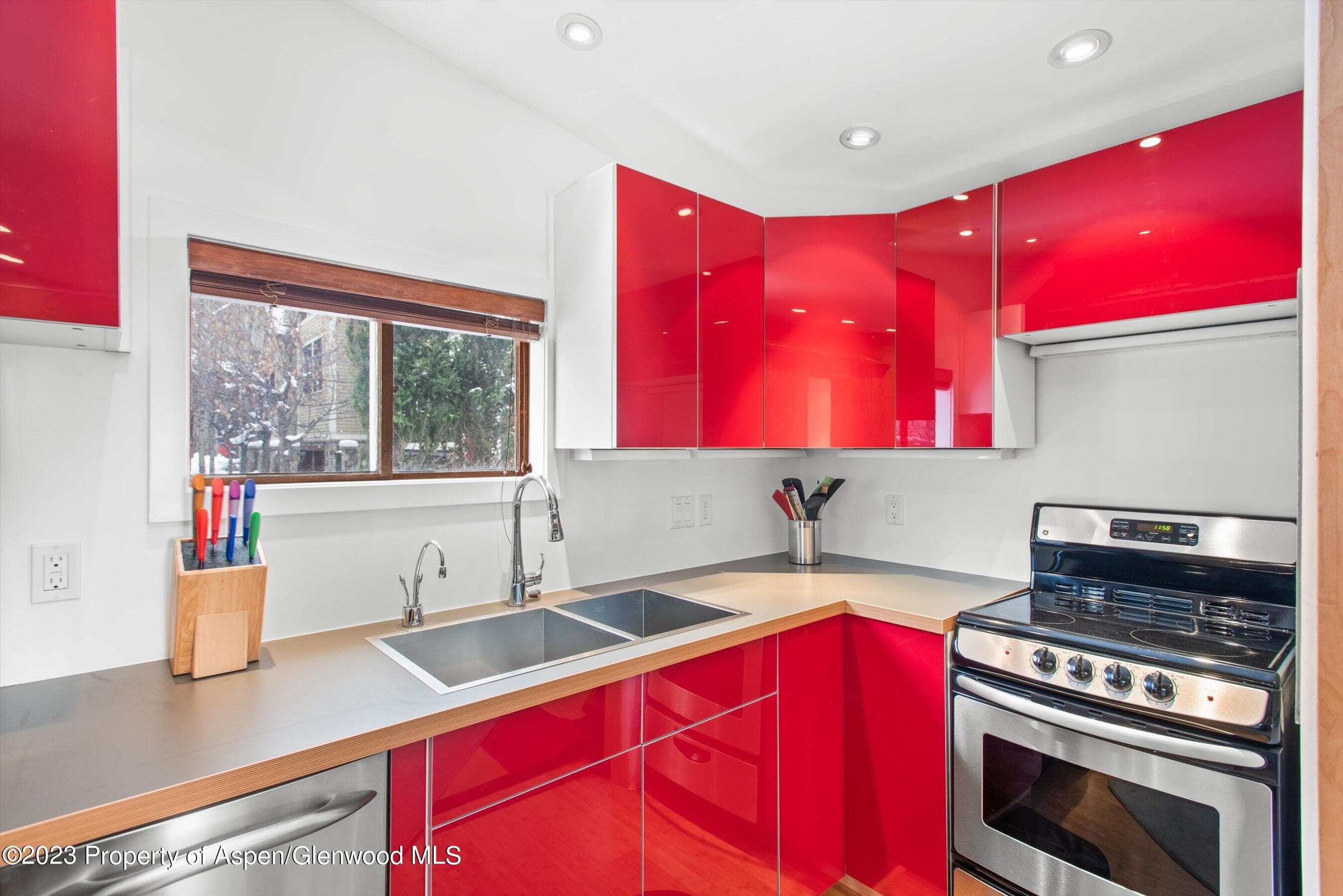 327 W Hallam Street, Aspen, CO 81611 - Photo 11