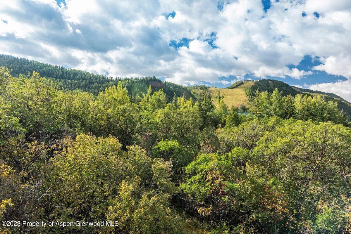 25 Glen Eagles Road, Aspen, CO 81611 - Photo 18