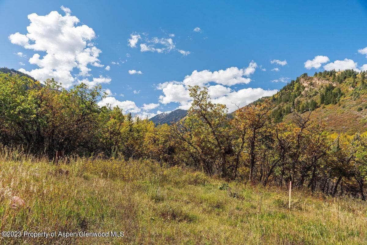 25 Glen Eagles Road, Aspen, CO 81611 - Photo 31