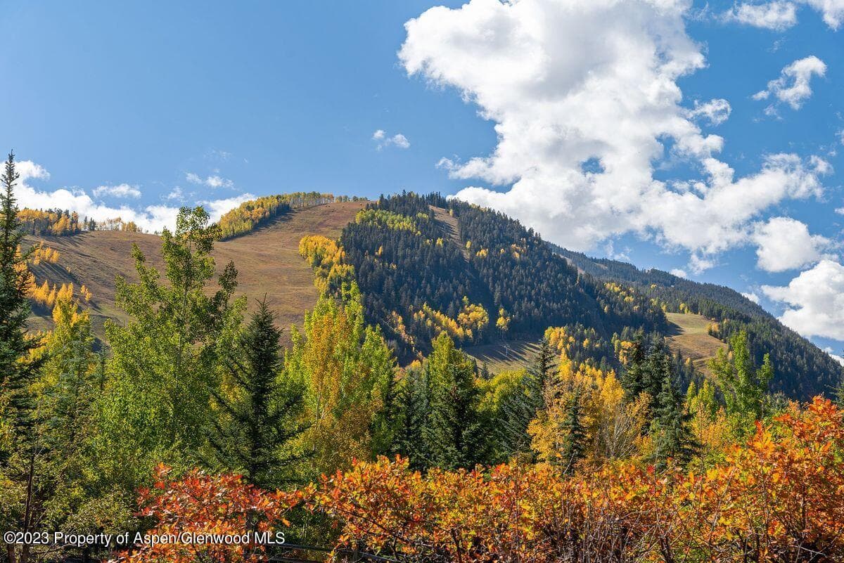 25 Glen Eagles Road, Aspen, CO 81611 - Photo 34