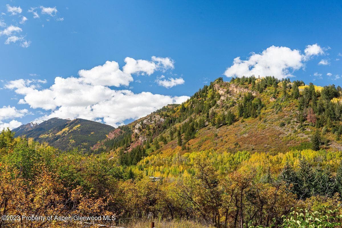 25 Glen Eagles Road, Aspen, CO 81611 - Photo 40