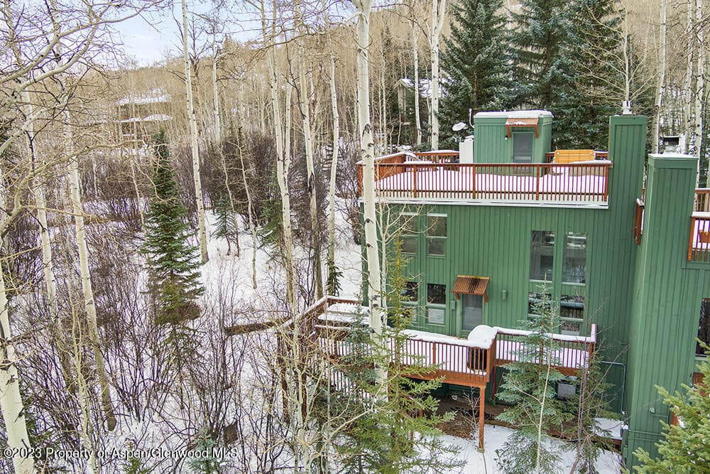 47 Valley View Road B, Snowmass Village, CO 81615 - Photo 18