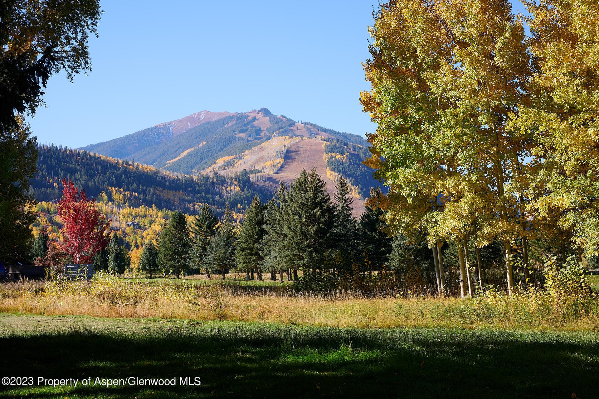765 Cemetery Lane, Aspen, CO 81611 - Photo 3