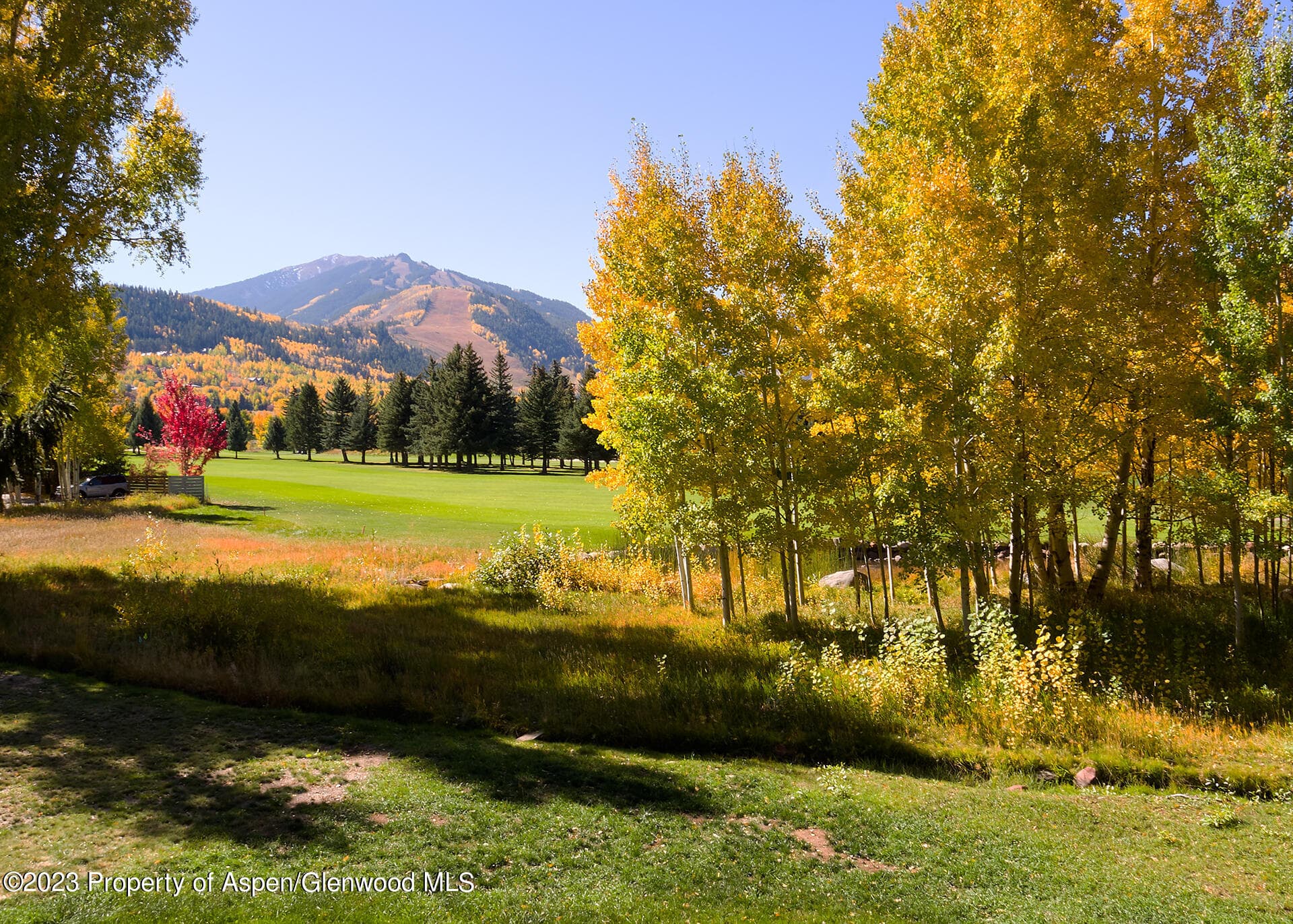 765 Cemetery Lane, Aspen, CO 81611 - Photo 4