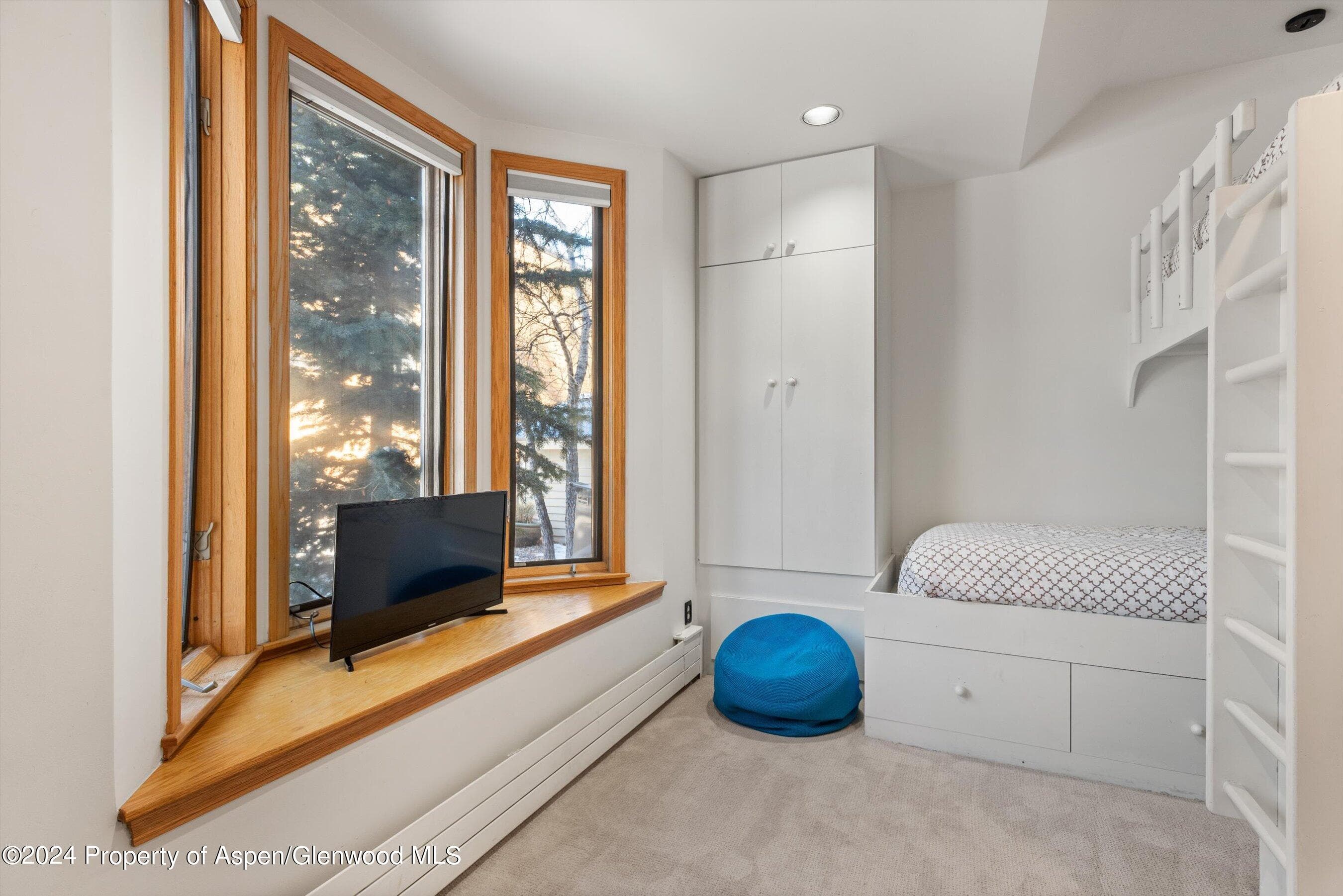 1020 E Hyman Units 1 & 2, Aspen, CO 81611 - Photo 17