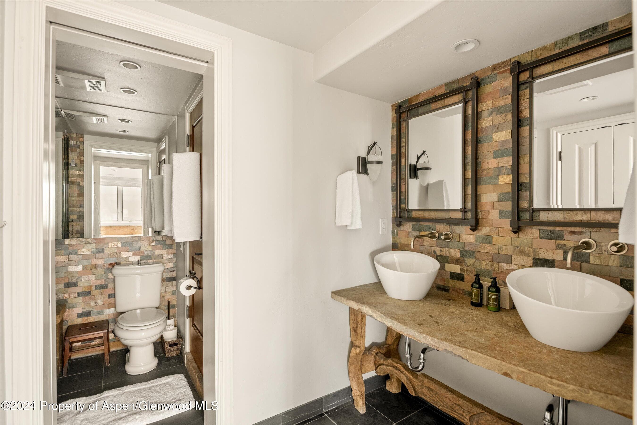 1016 E Hyman Avenue 2, Aspen, CO 81611 - Photo 24