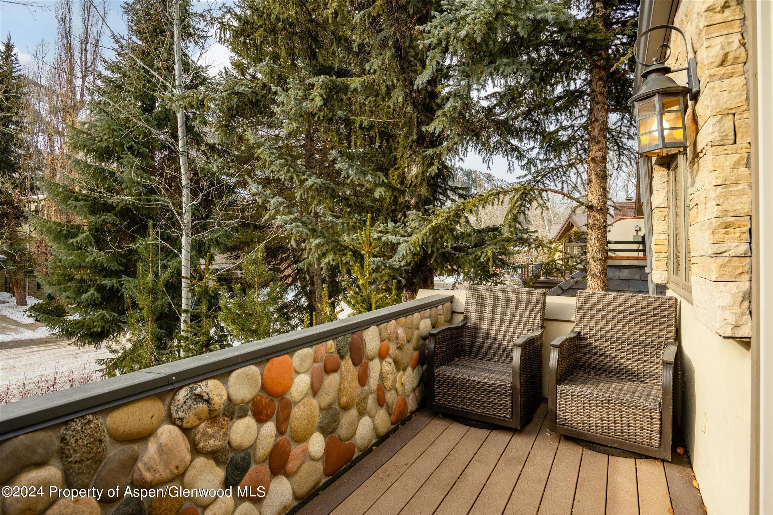 1016 E Hyman Avenue 2, Aspen, CO 81611 - Photo 14