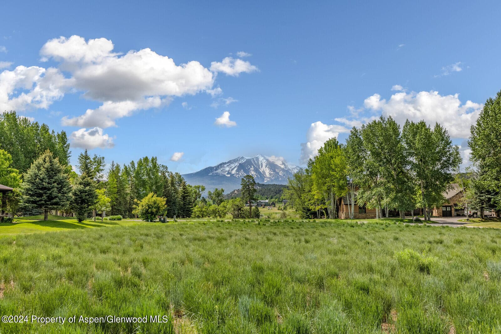 49 ALPEN GLO Lane, Carbondale, CO 81623 - Photo 1