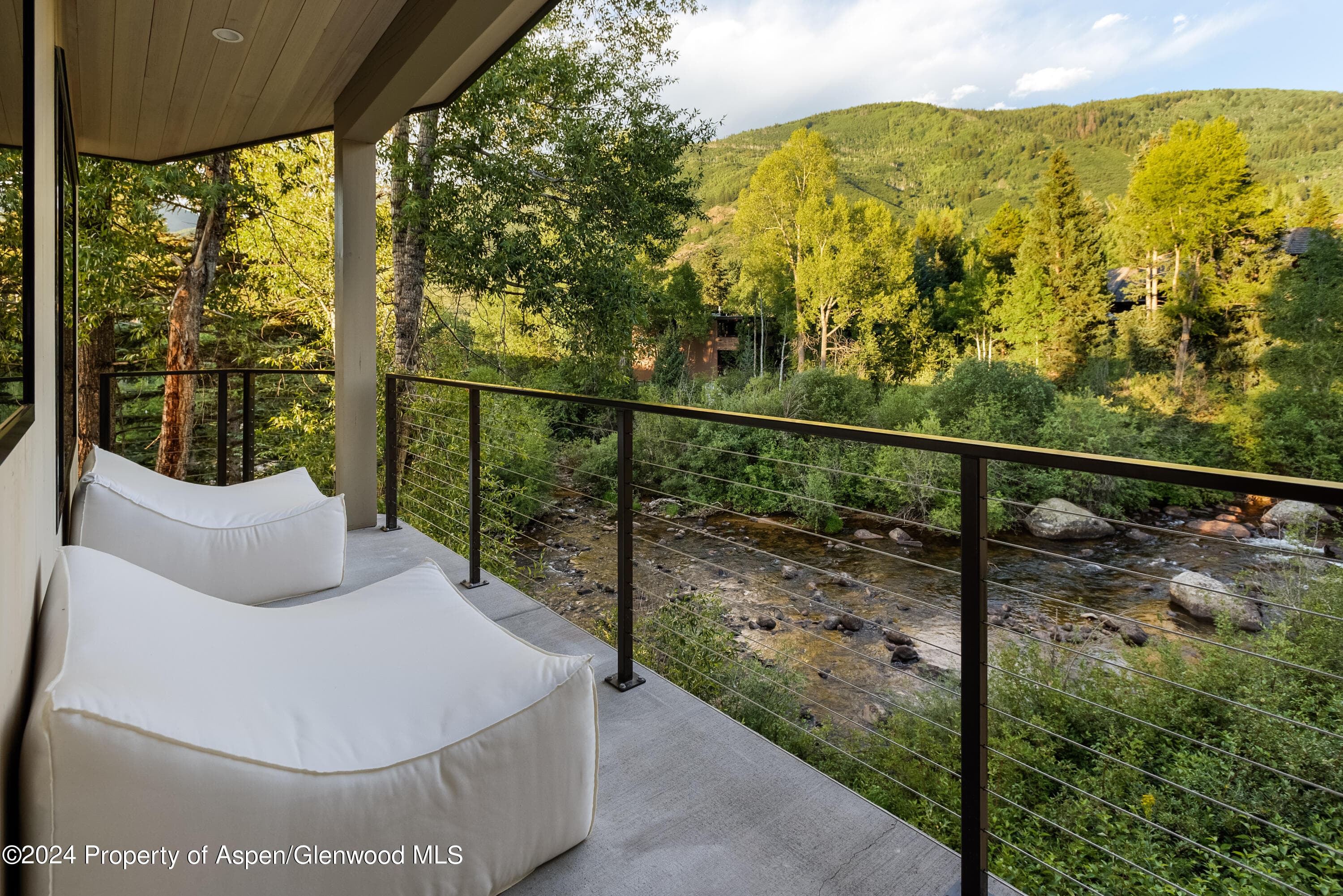 1096 Waters Avenue, Aspen, CO 81611 - Photo 15