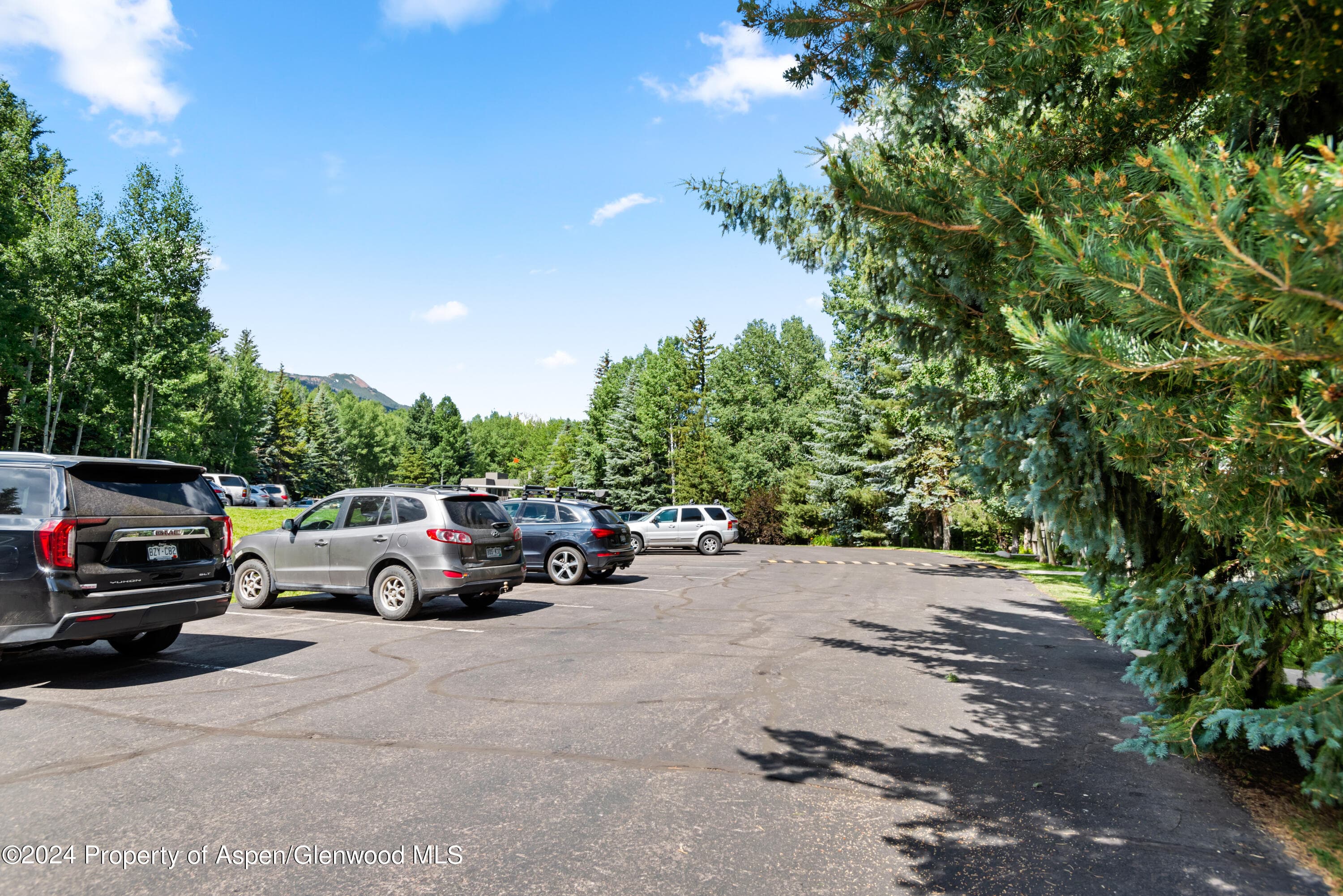 151 Meadow Ranch Road F-1-A, Snowmass Village, CO 81615 - Photo 21