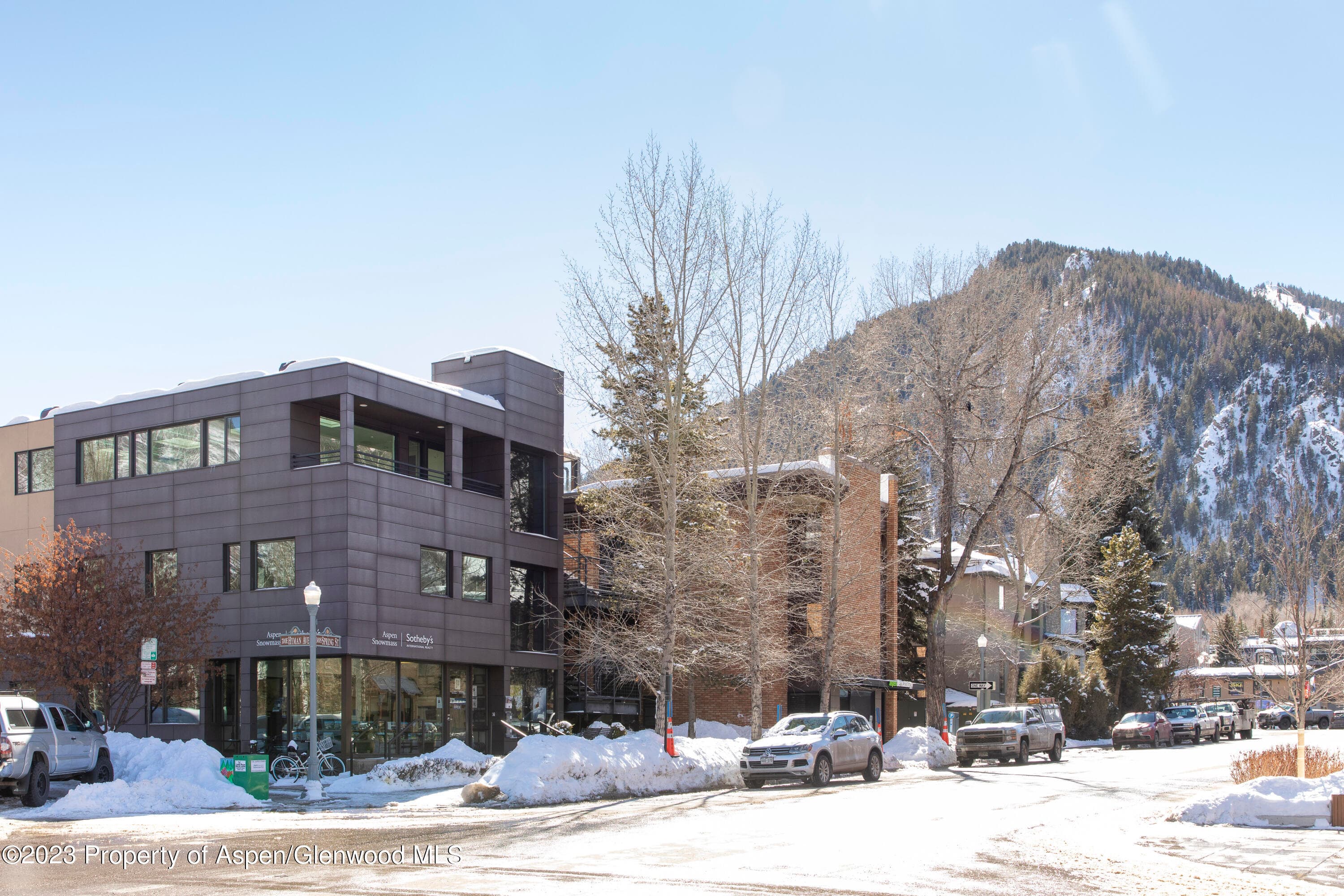 300 S Spring Street 301, Aspen, CO 81611 - Photo 21