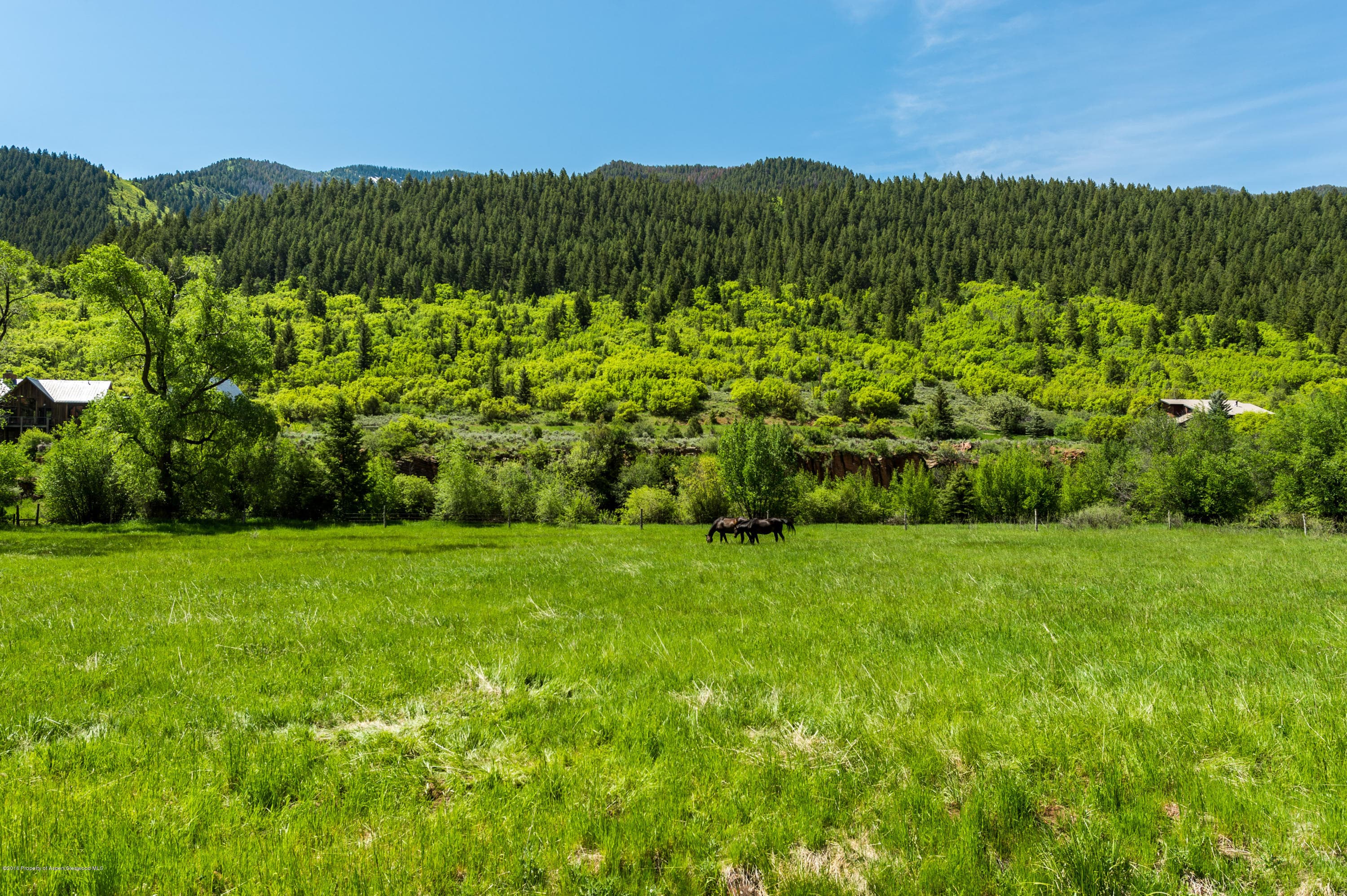 54 Spruce Road, Basalt, CO 81621 - Photo 15