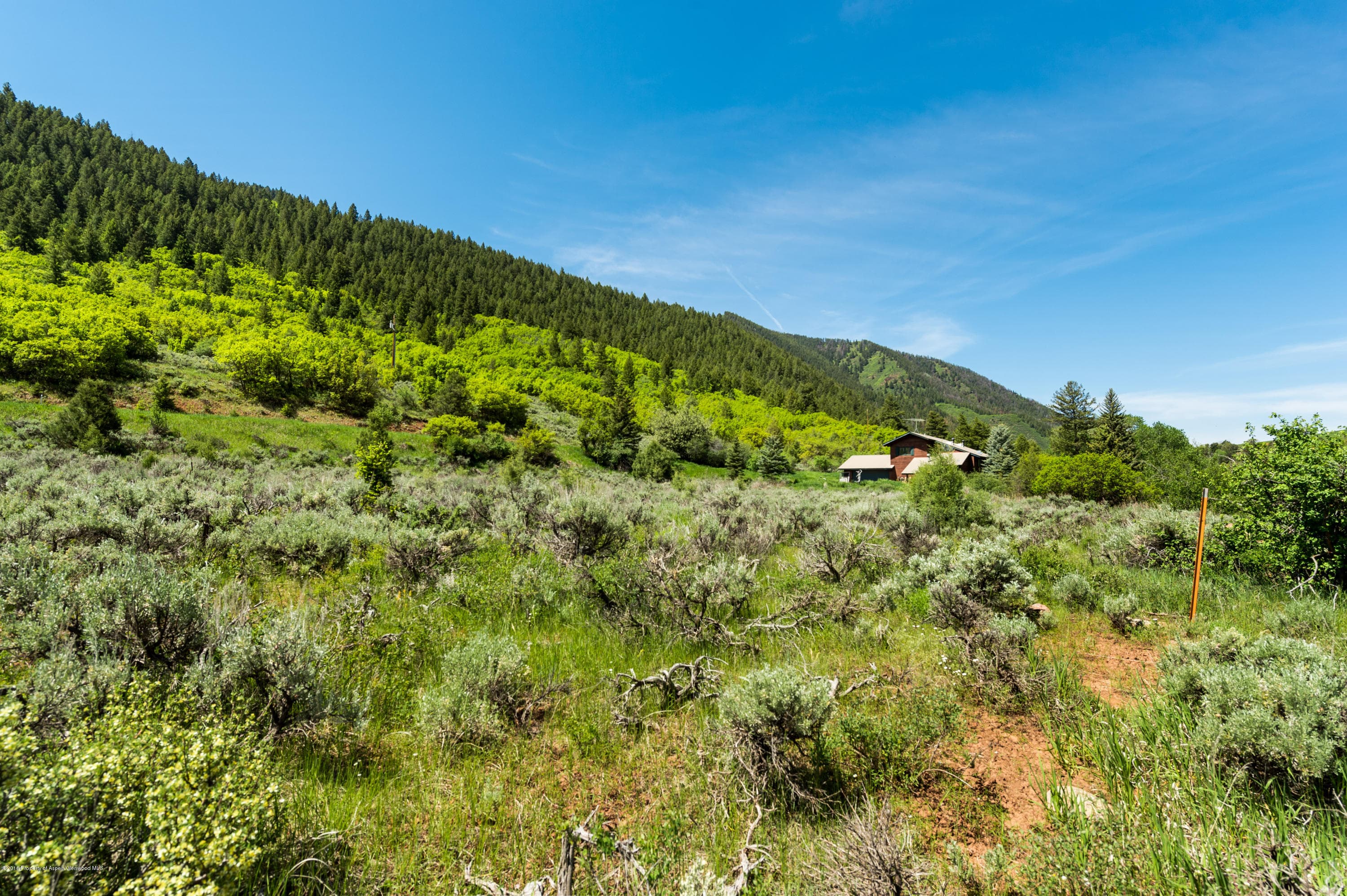 54 Spruce Road, Basalt, CO 81621 - Photo 8
