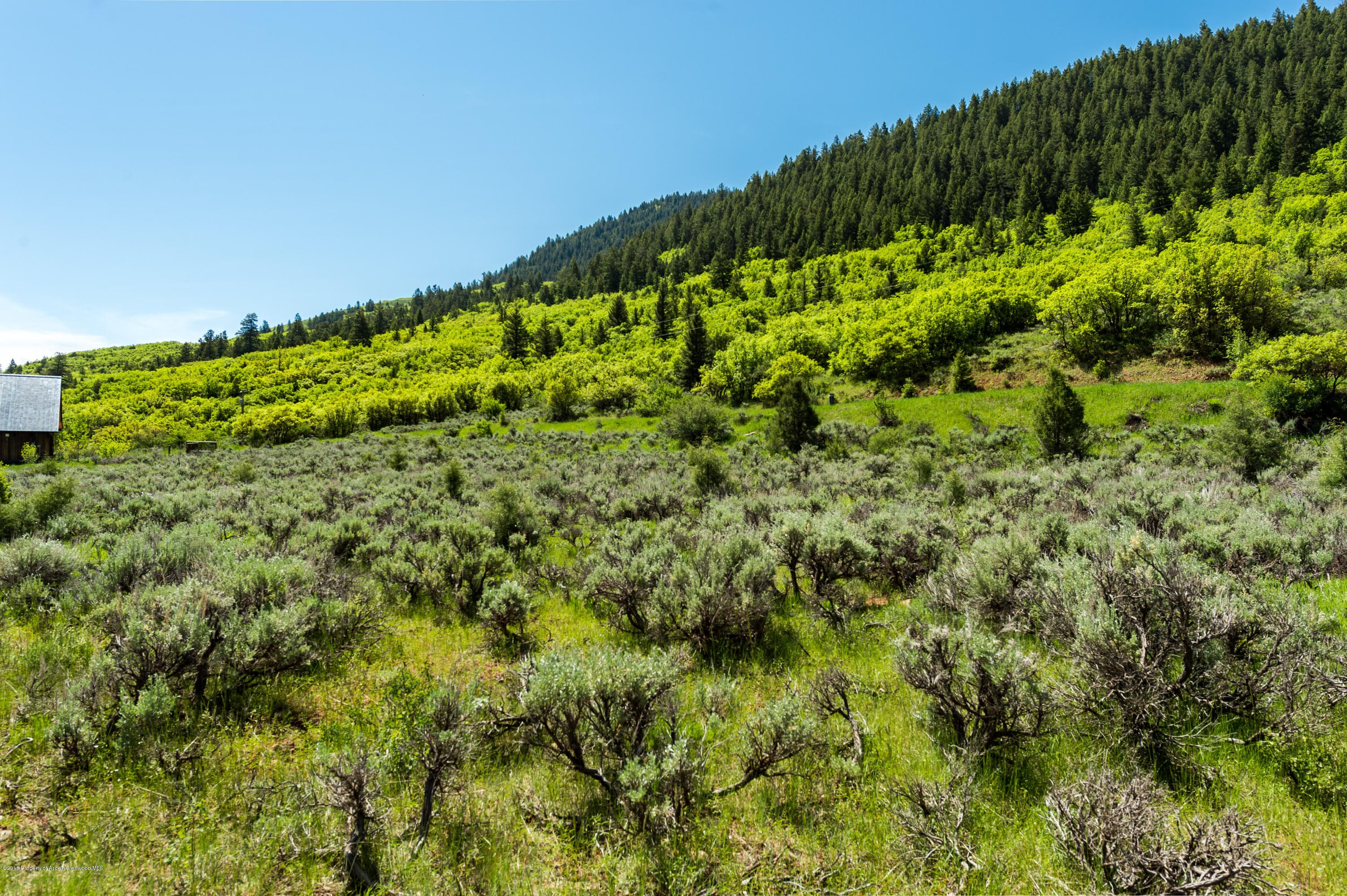 54 Spruce Road, Basalt, CO 81621 - Photo 9