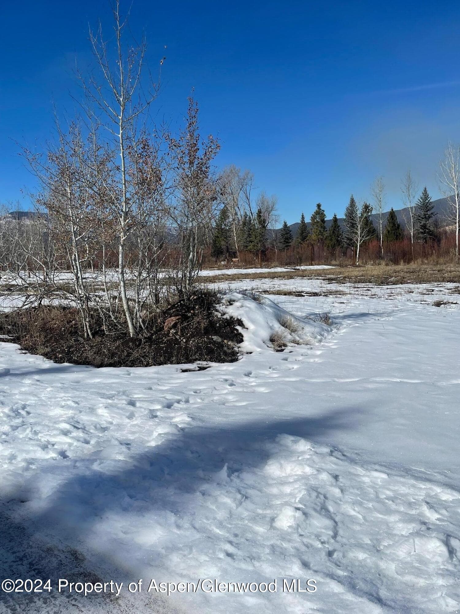 2330 CR 100, Carbondale, CO 81623 - Photo 4