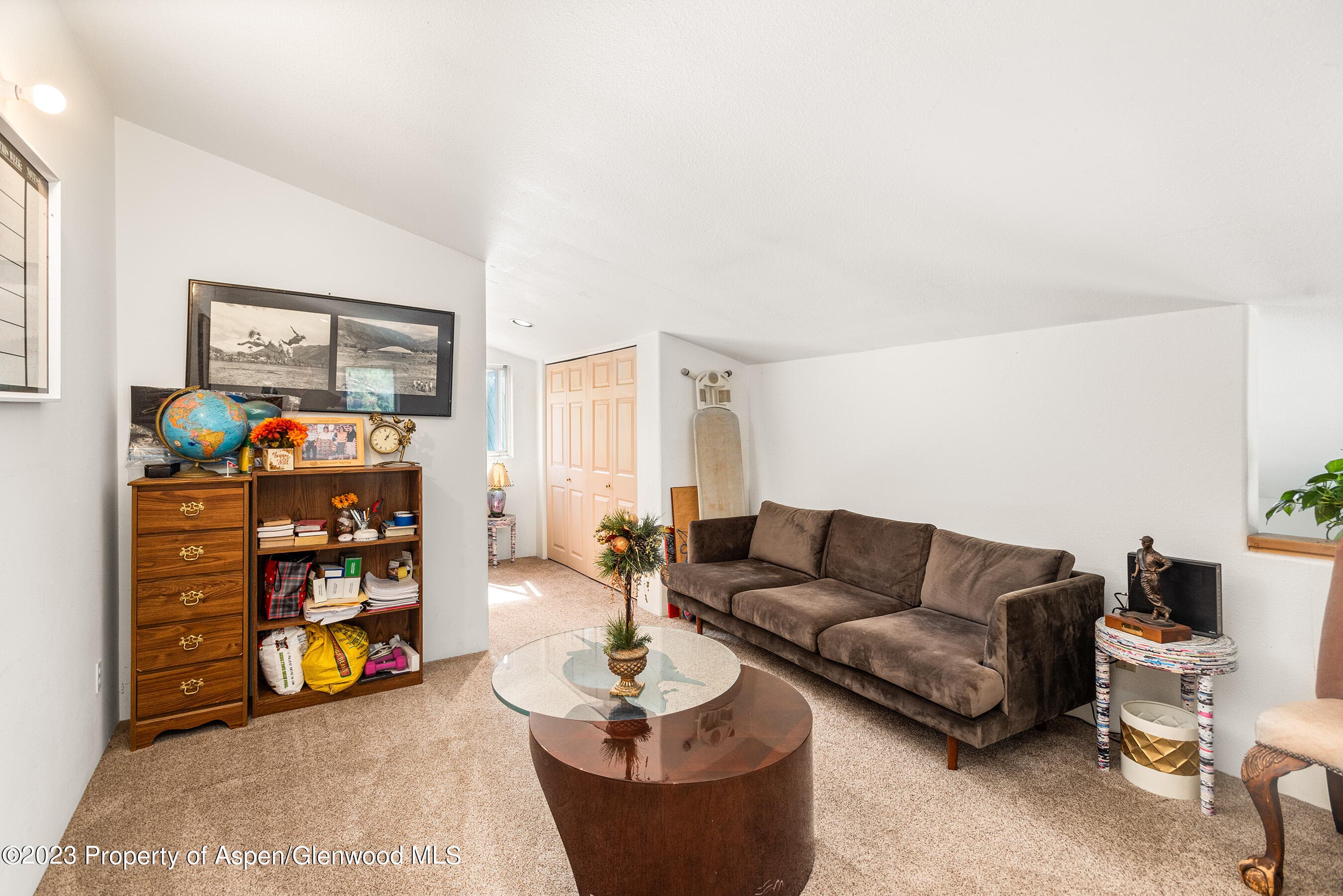 141 & 143 Swinging Bridge Lane, Basalt, CO 81621 - Photo 13