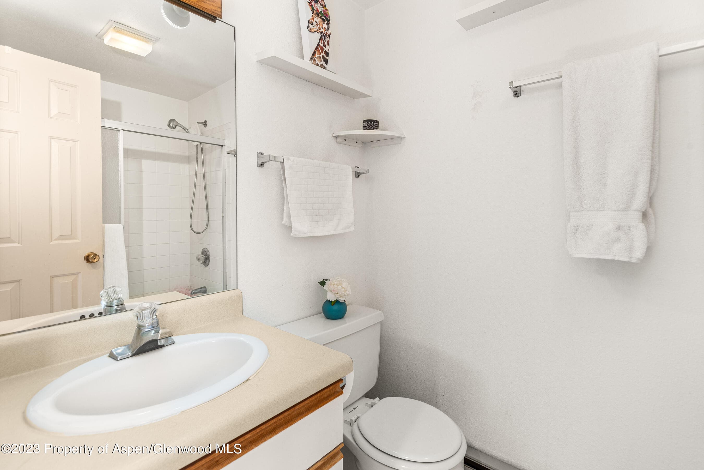 141 & 143 Swinging Bridge Lane, Basalt, CO 81621 - Photo 15