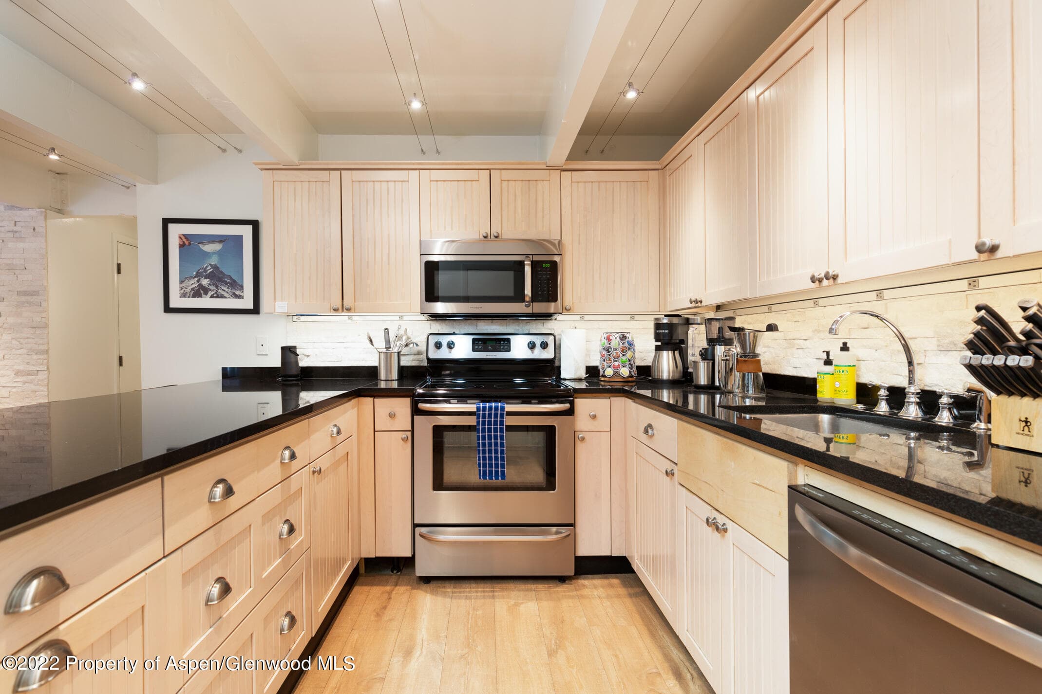 731 E Durant Avenue 6, Aspen, CO 81611 - Photo 13