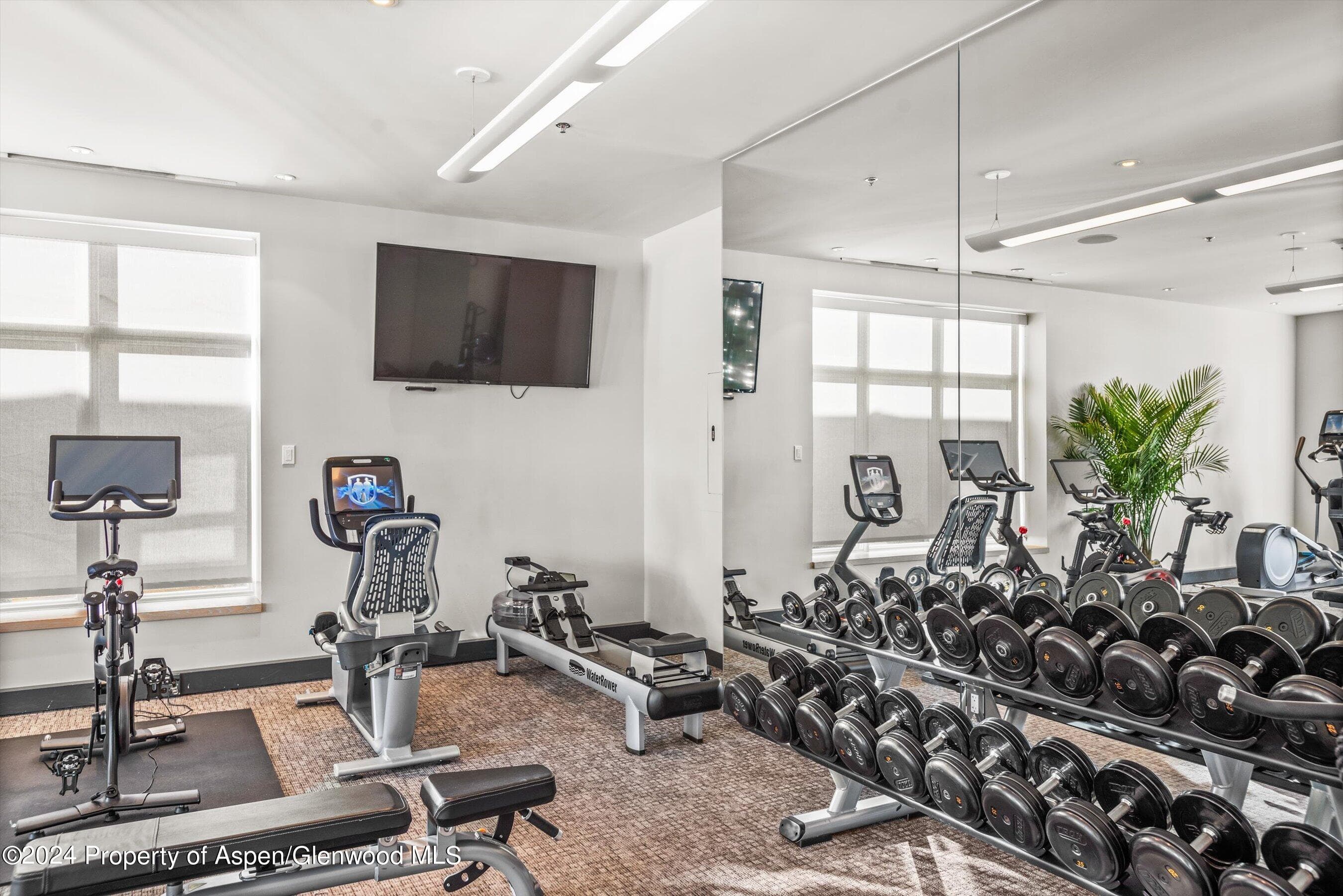 130 Wood Road 809, Snowmass Village, CO 81615 - Photo 15